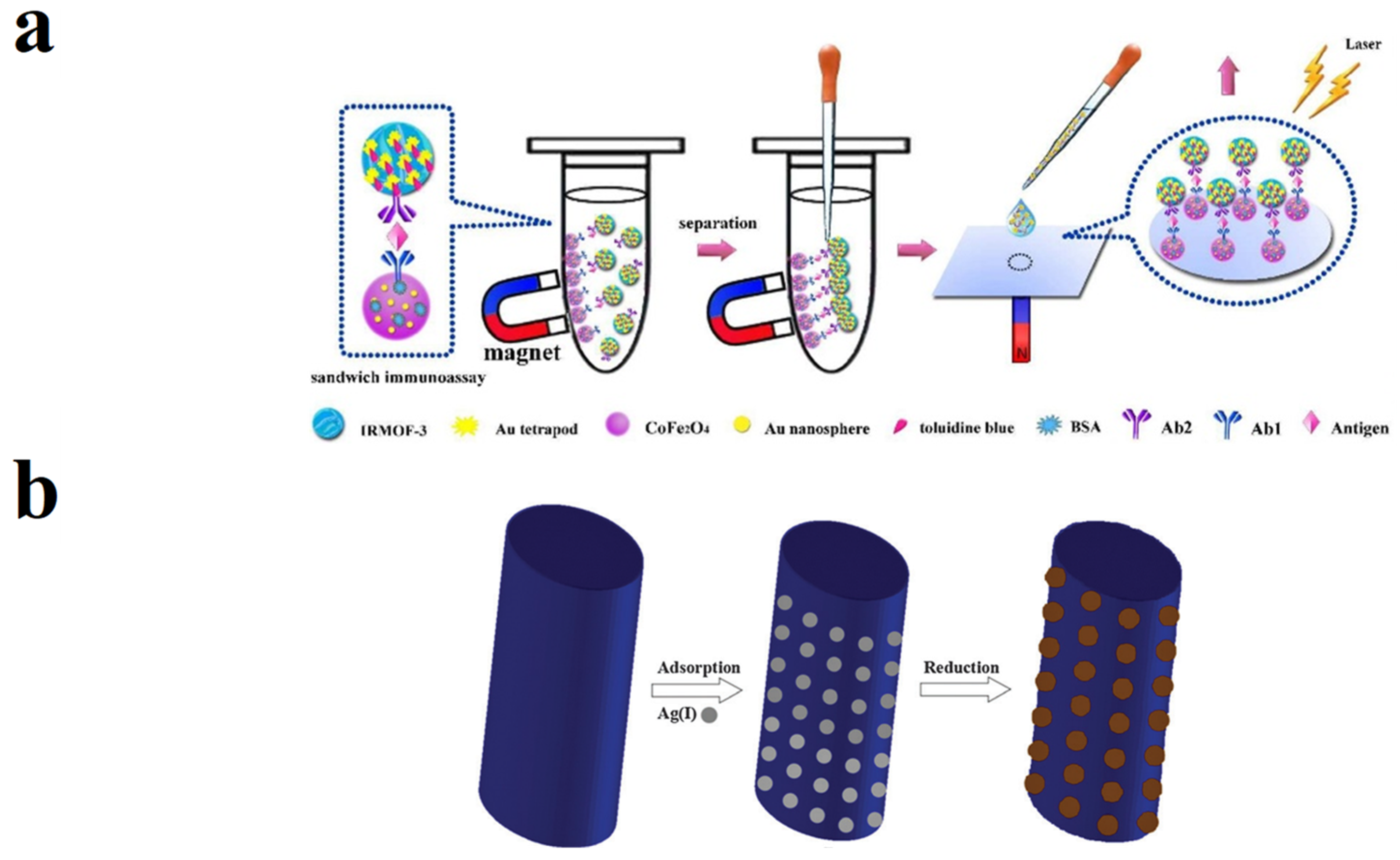 Biosensors 13 00479 g007
