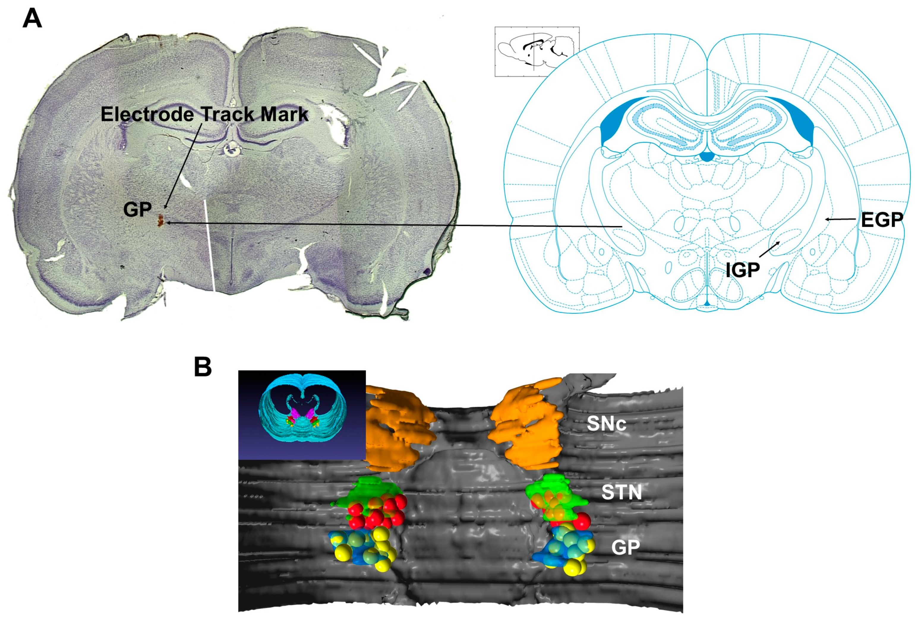 Biosensors 13 00480 g002