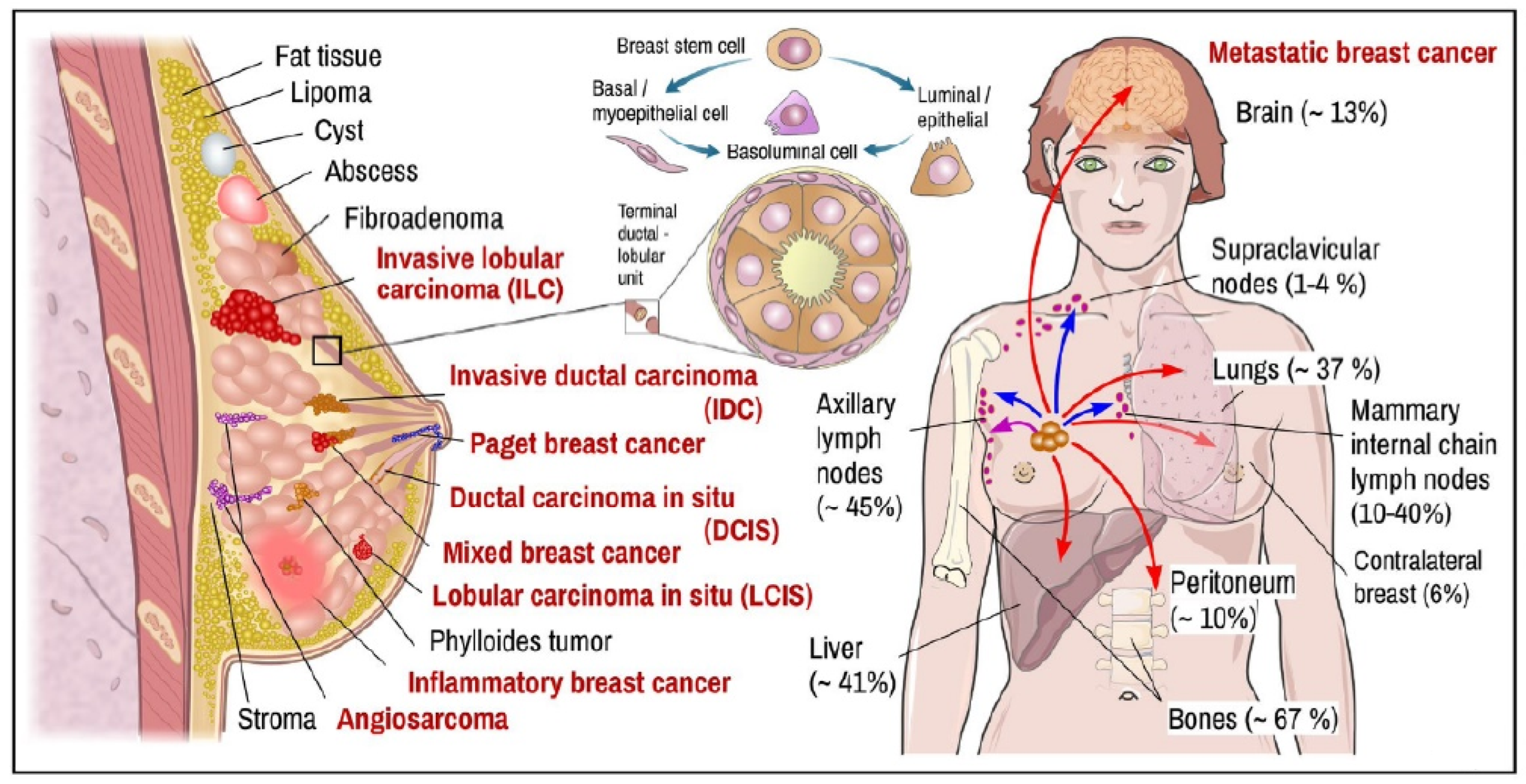 Biosensors 13 00481 g001