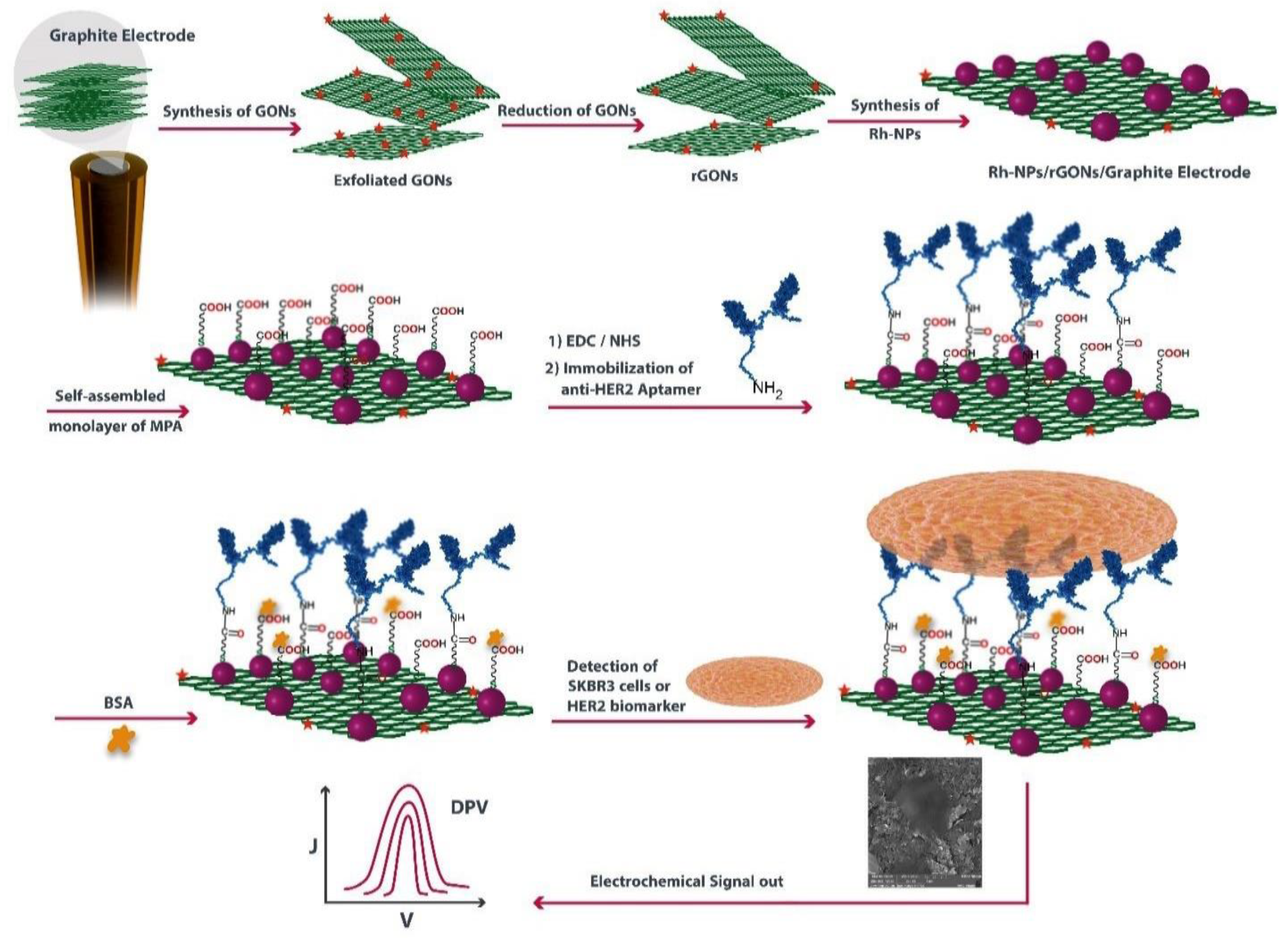 Biosensors 13 00481 g004