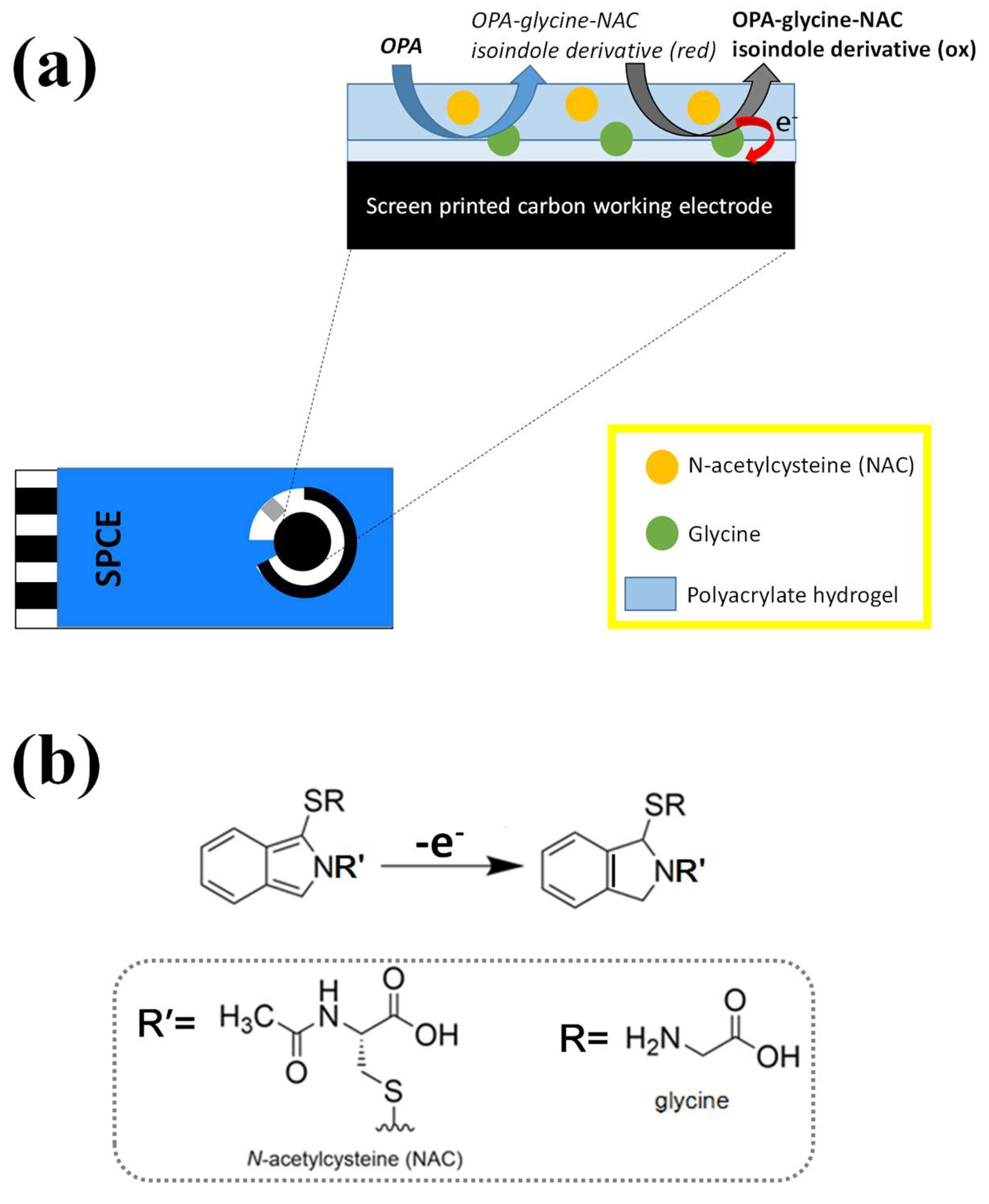Biosensors 13 00485 g001