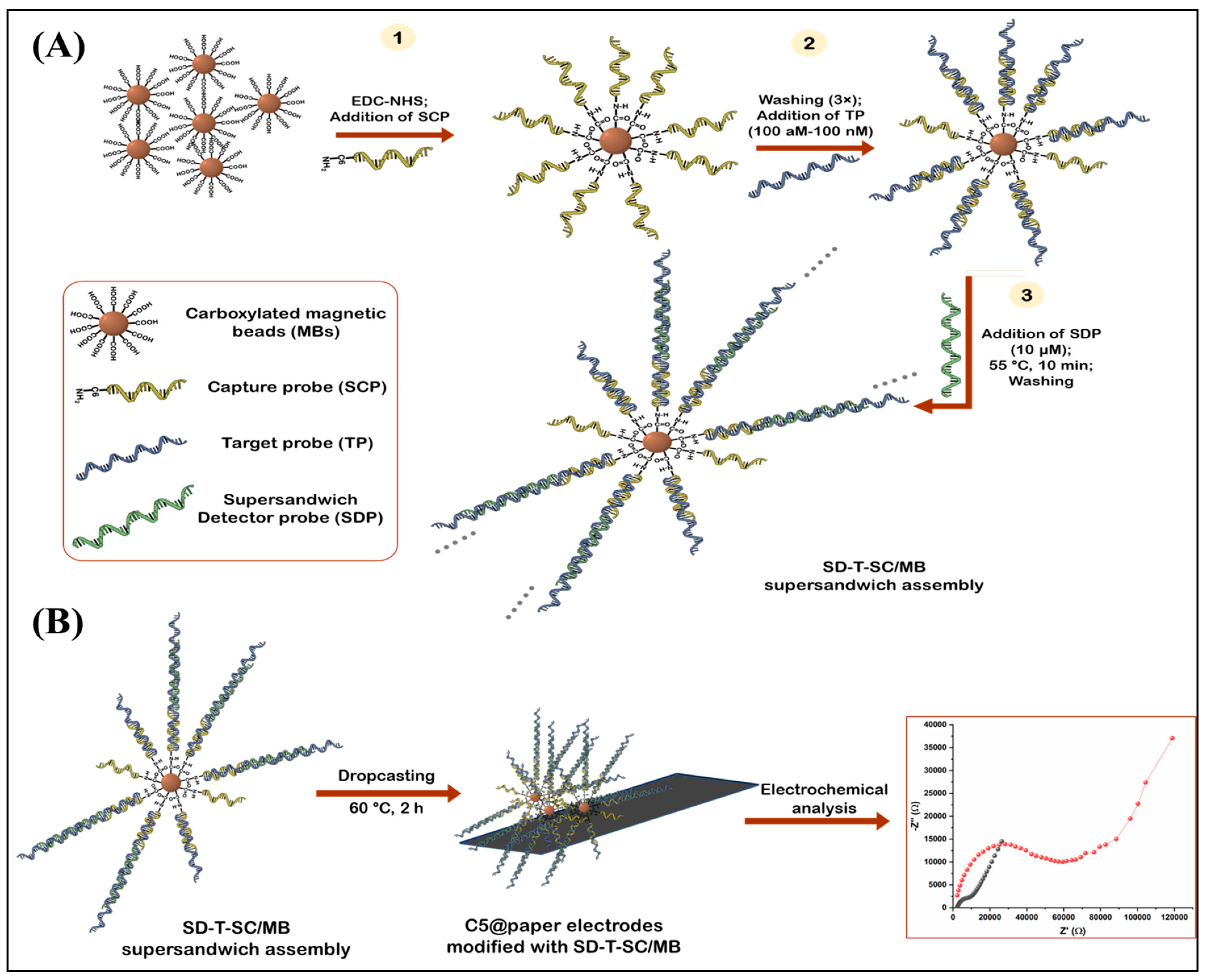 Biosensors 13 00486 sch001