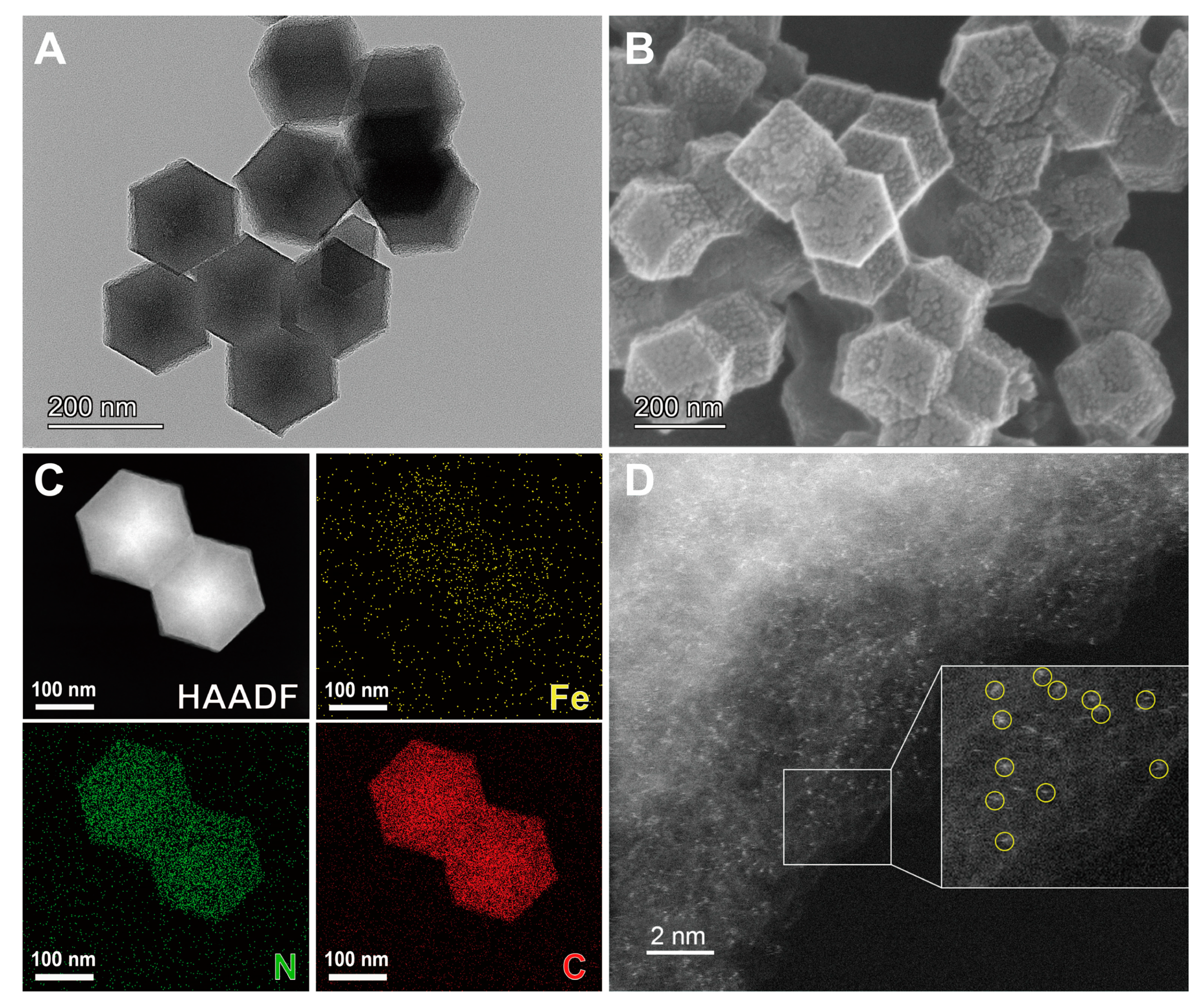 Biosensors 13 00487 g001