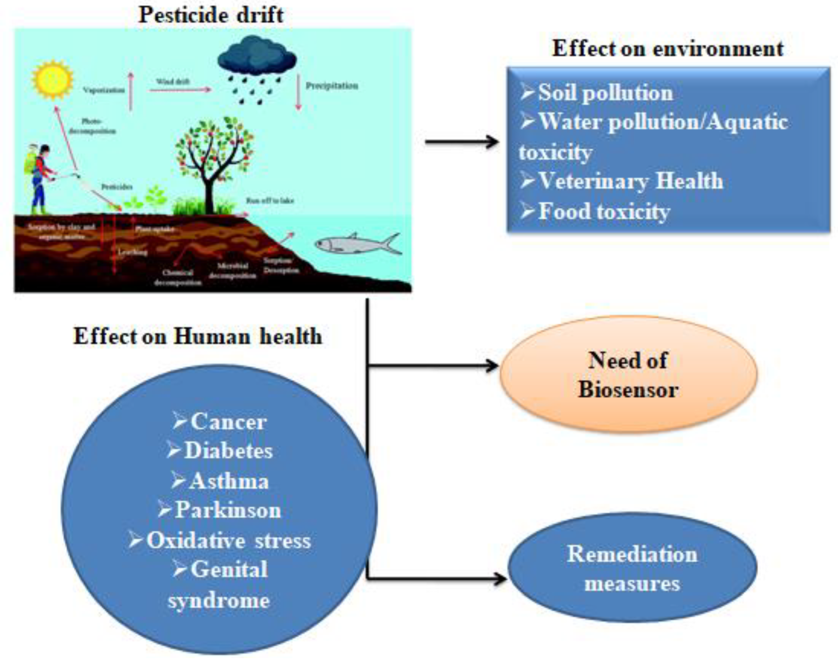 Biosensors 13 00488 g002