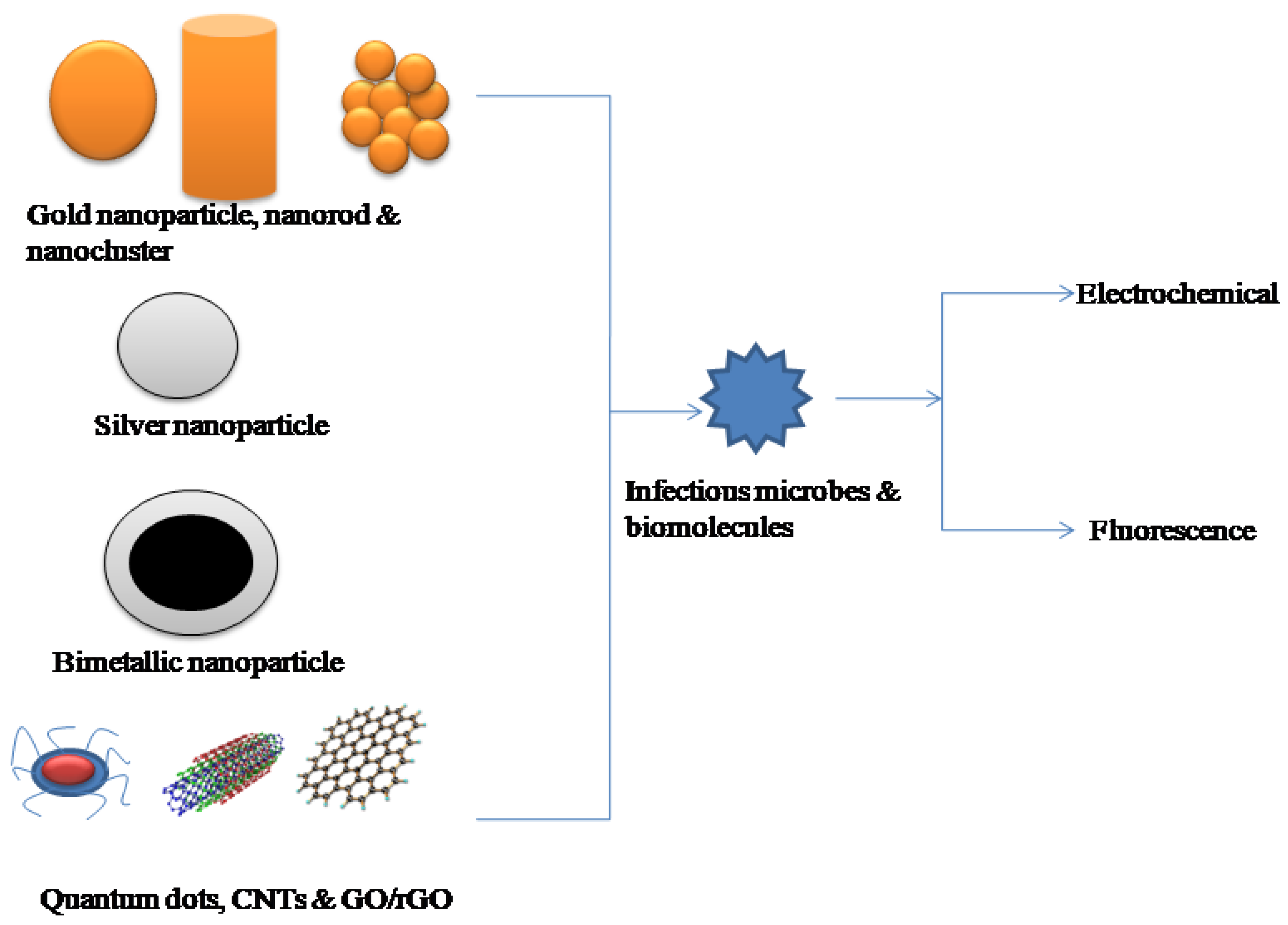 Biosensors 13 00488 g003