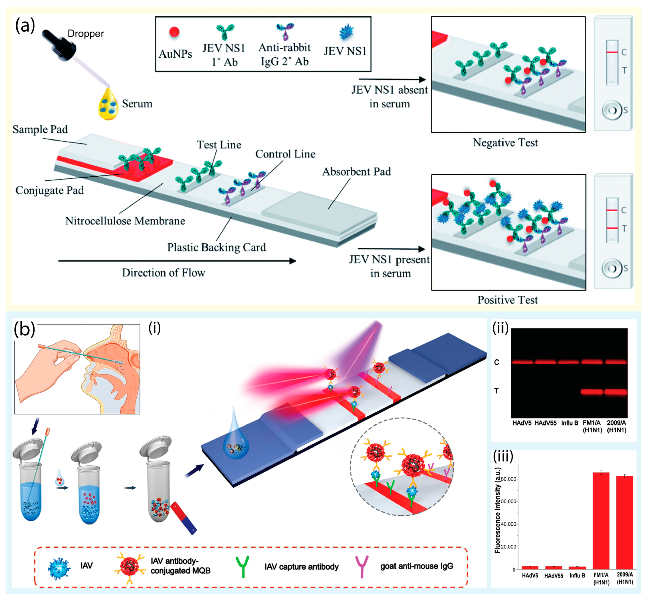 Biosensors 13 00490 g001