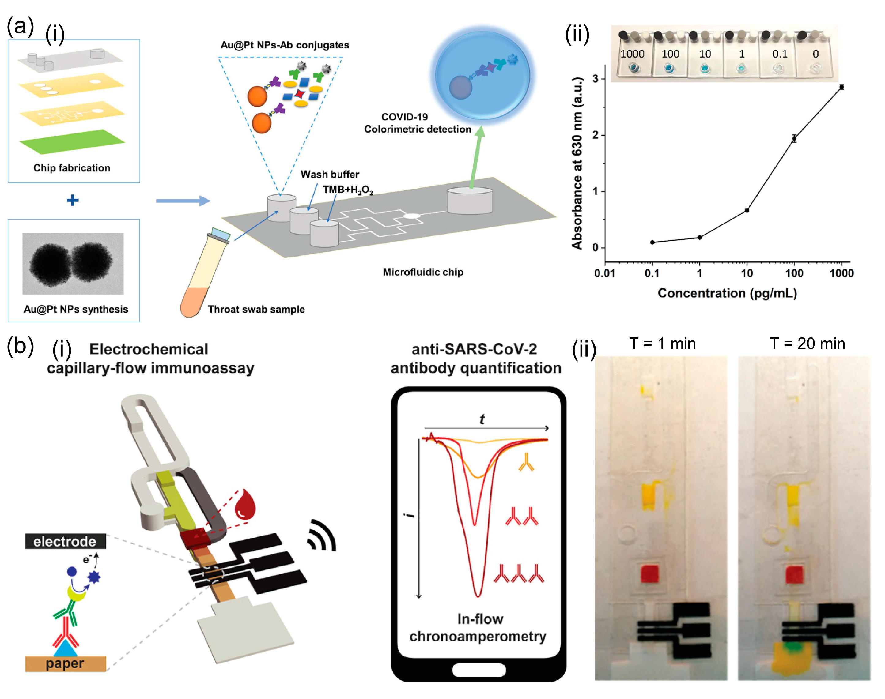 Biosensors 13 00490 g003