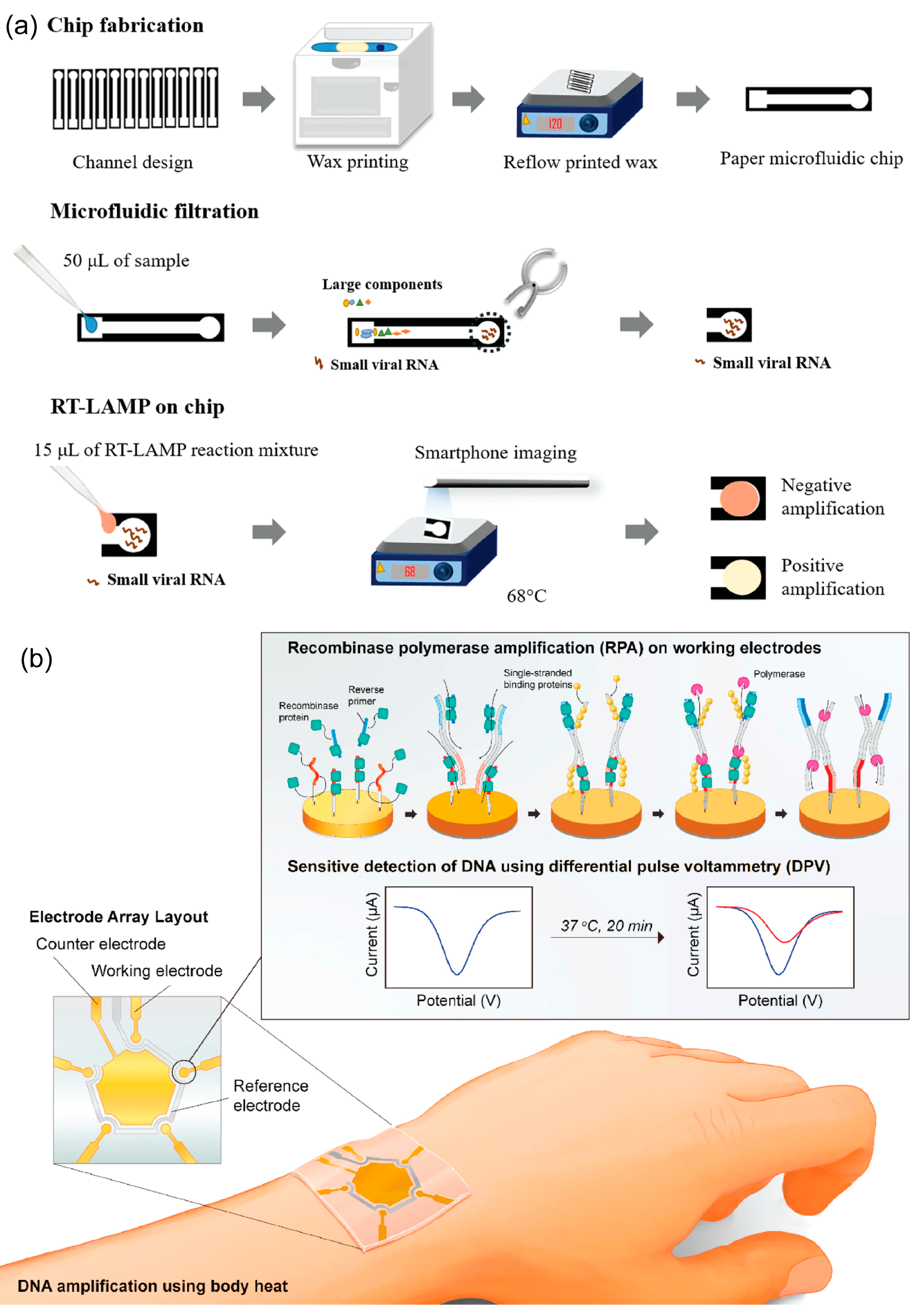 Biosensors 13 00490 g007