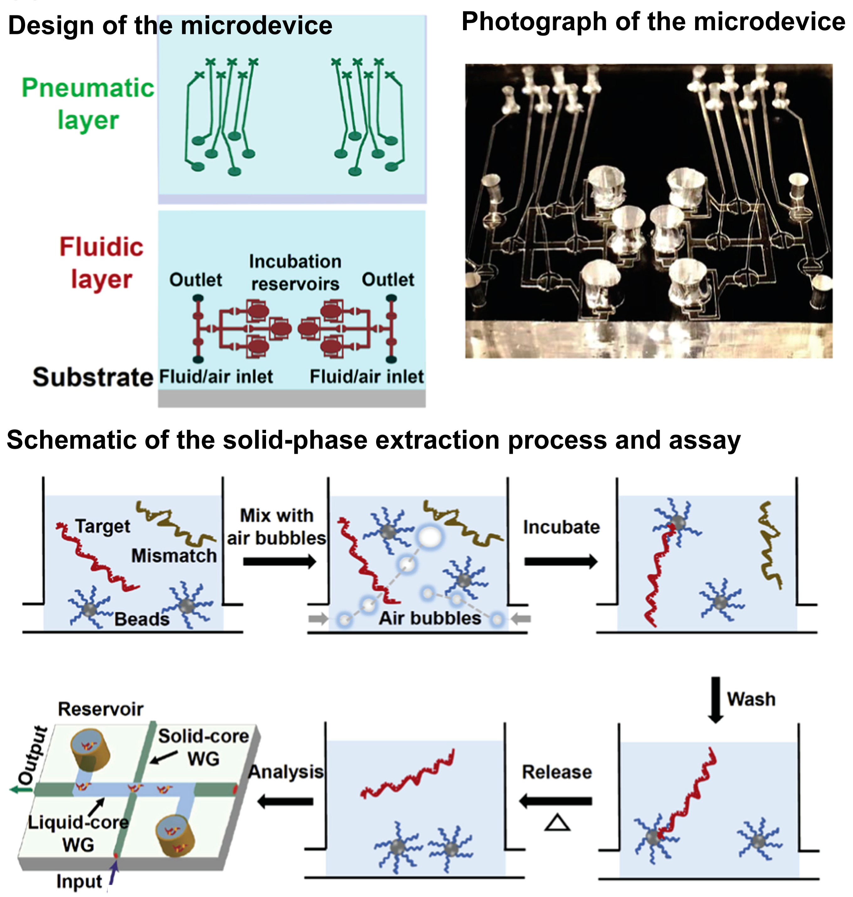 Biosensors 13 00490 g009