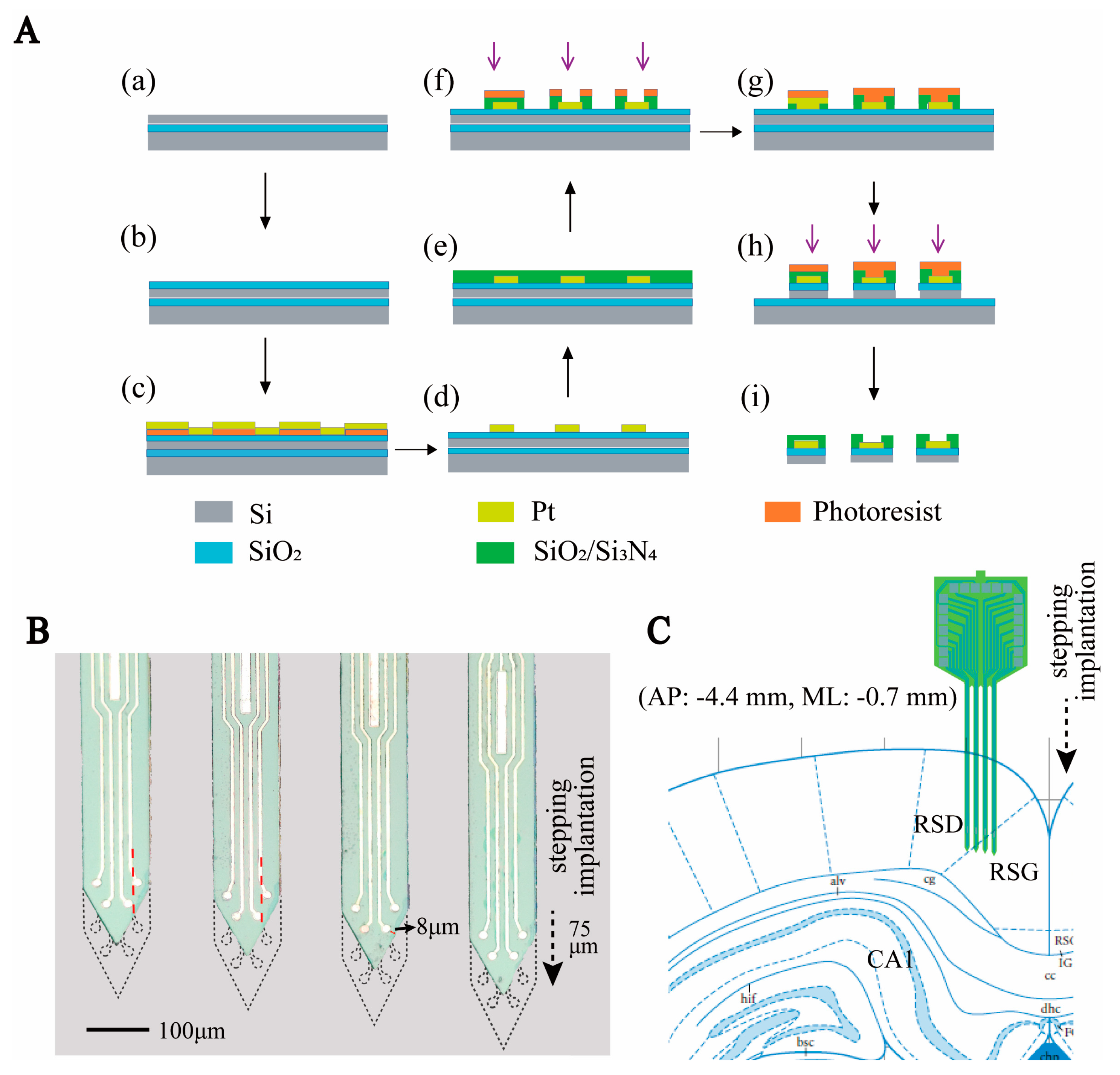 Biosensors 13 00496 g001 Biosensors 13 00496 g001