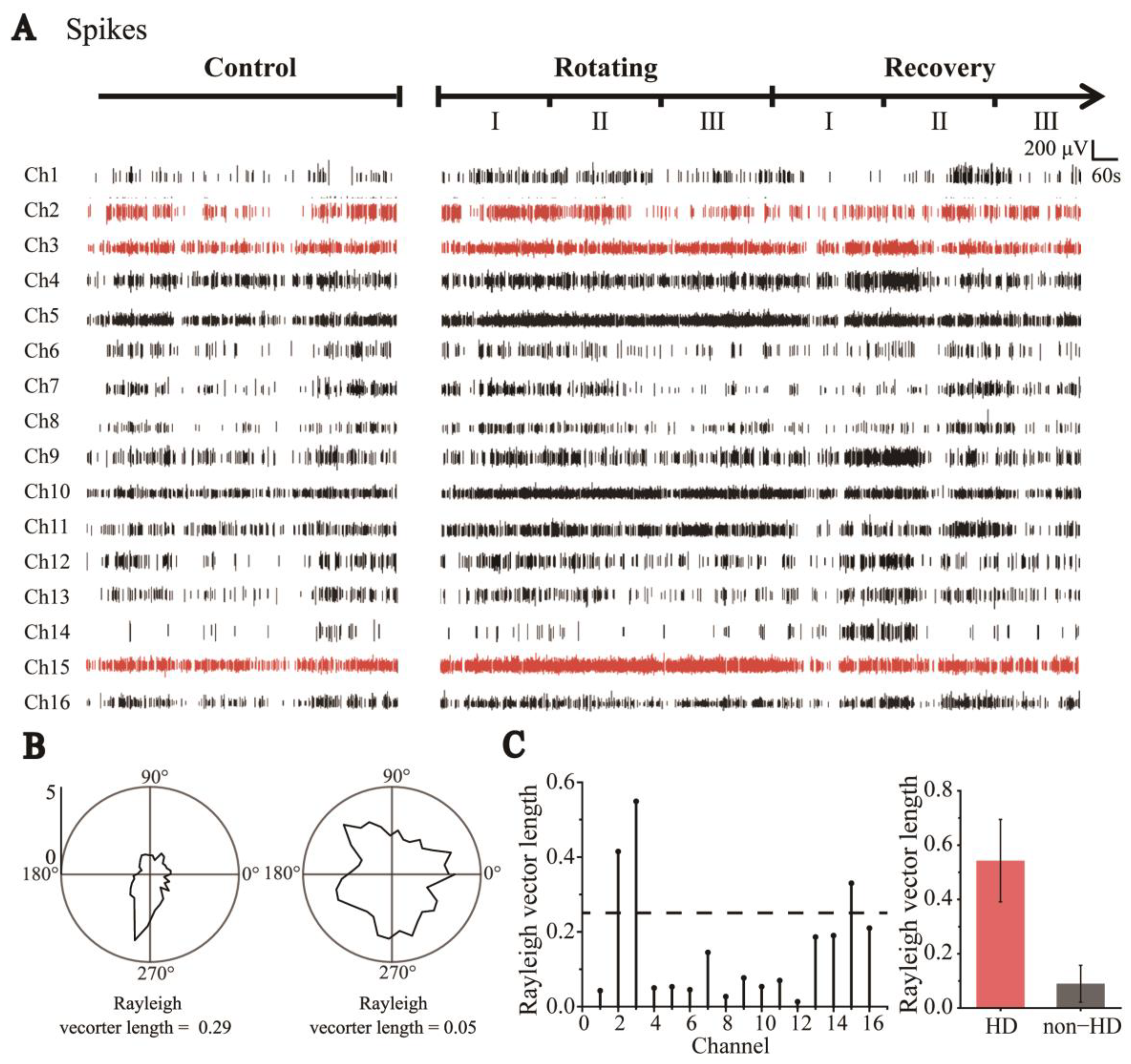 Biosensors 13 00496 g003 Biosensors 13 00496 g003