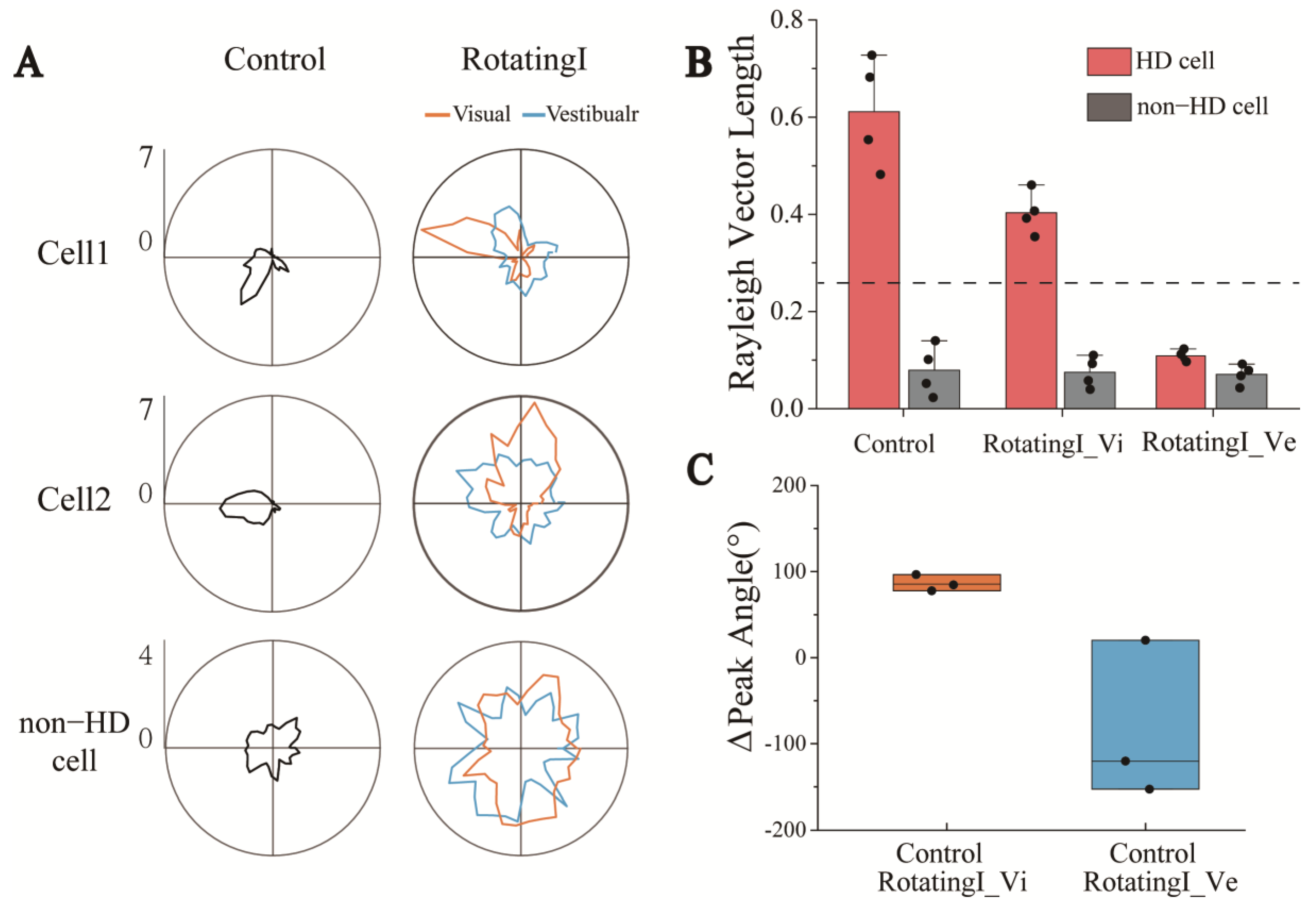 Biosensors 13 00496 g005 Biosensors 13 00496 g005