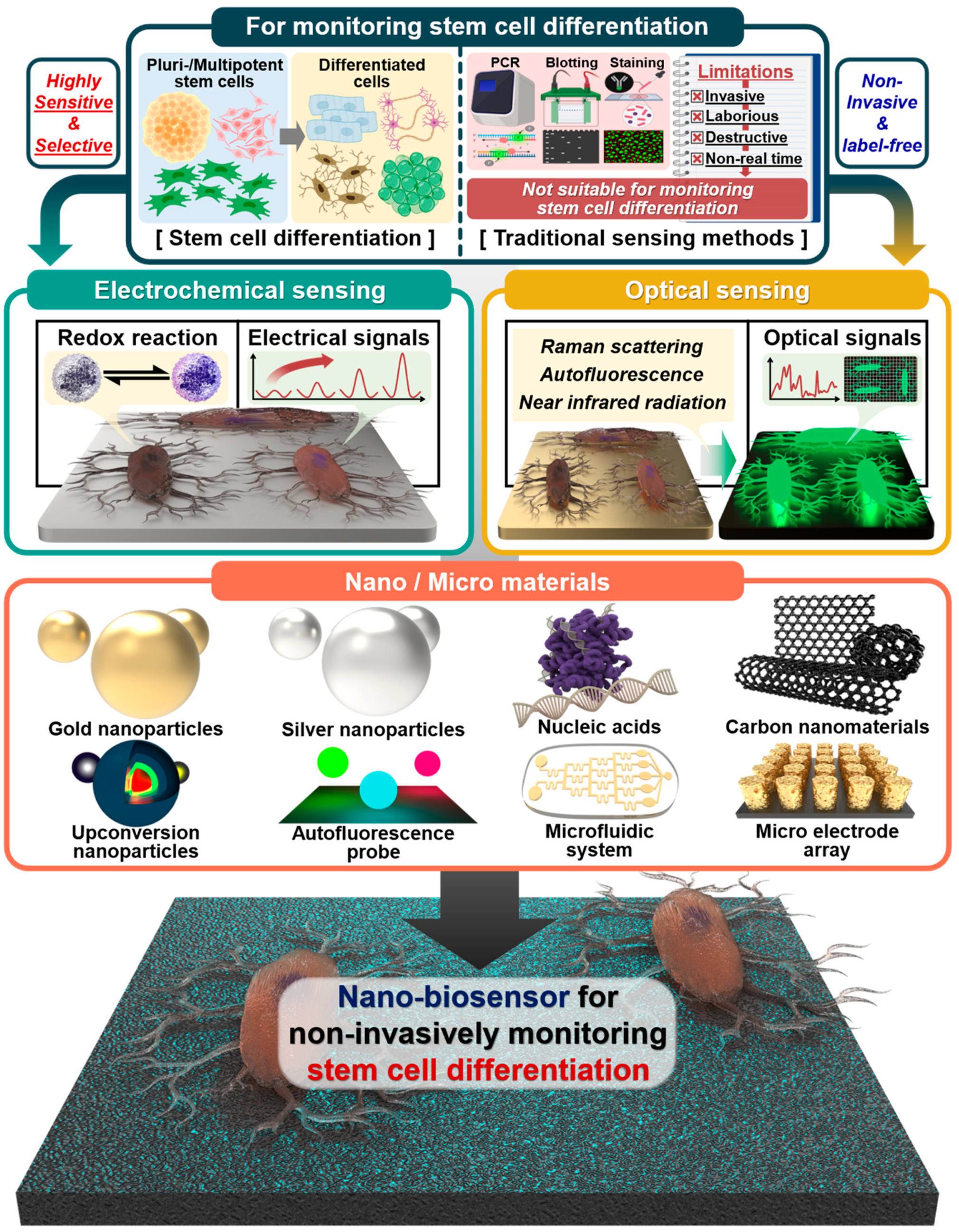 Biosensors 13 00501 g001
