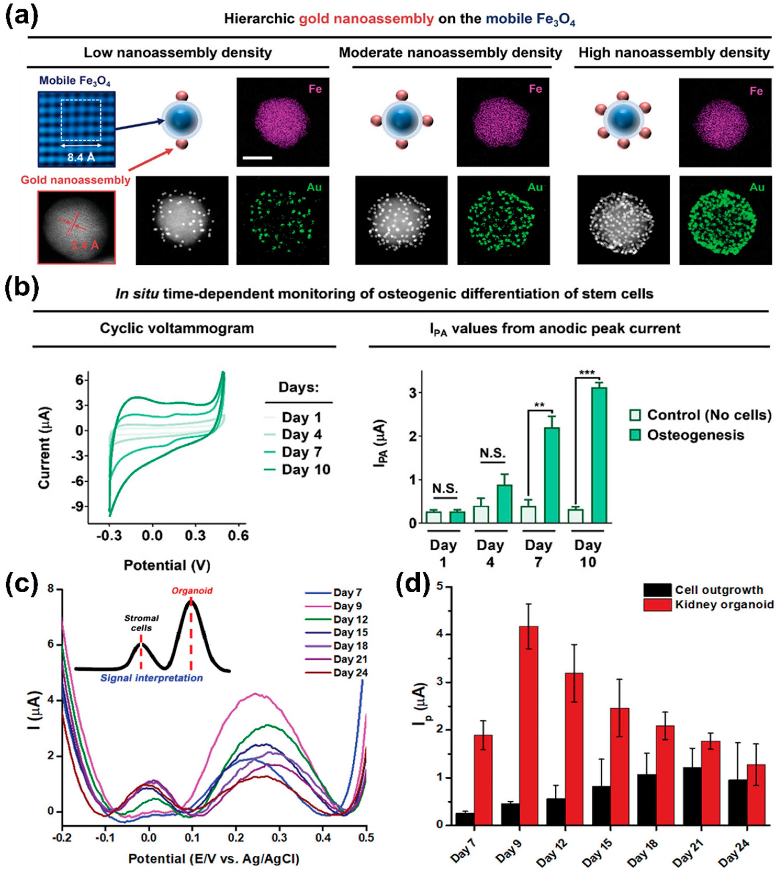 Biosensors 13 00501 g002