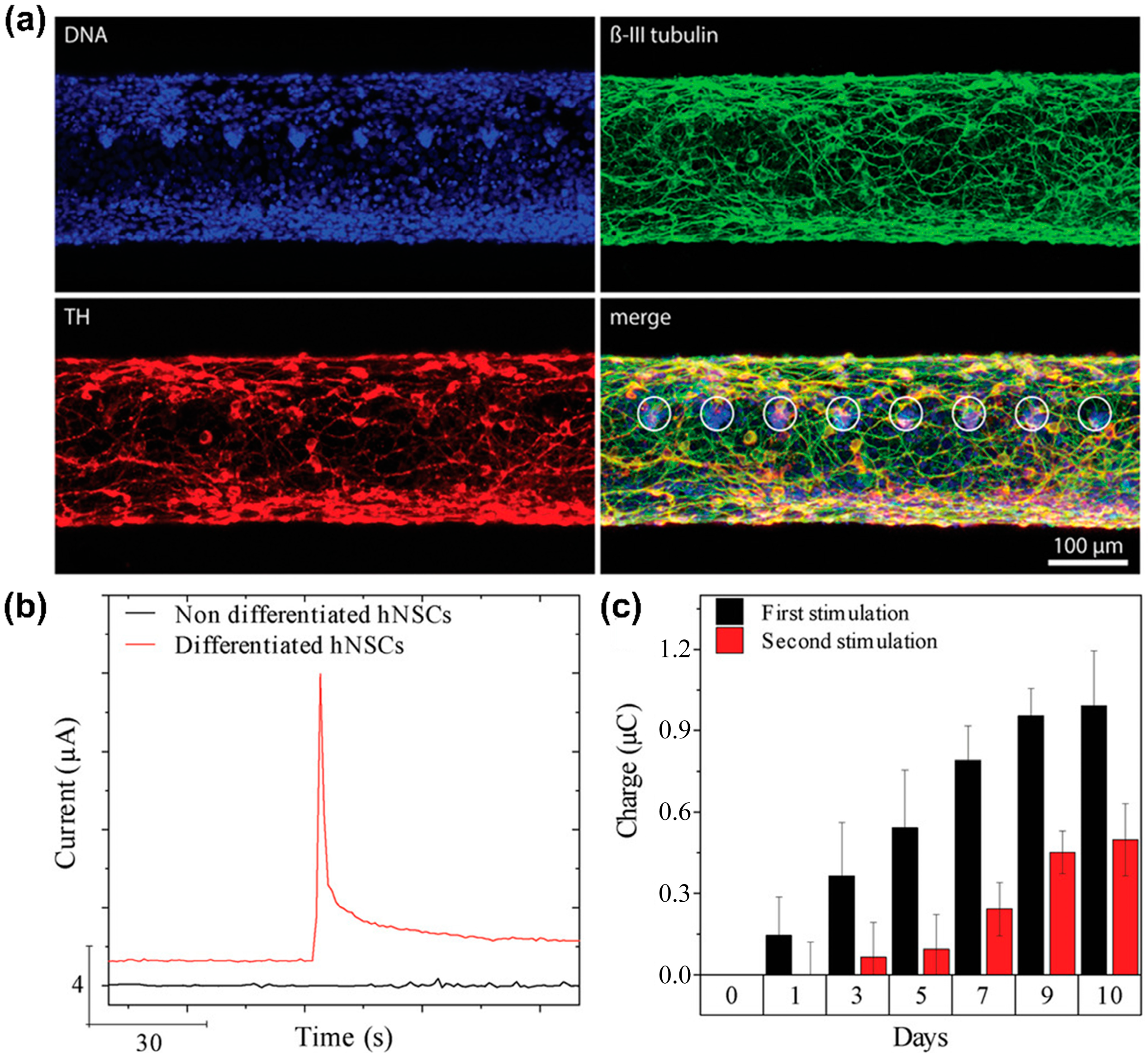 Biosensors 13 00501 g004