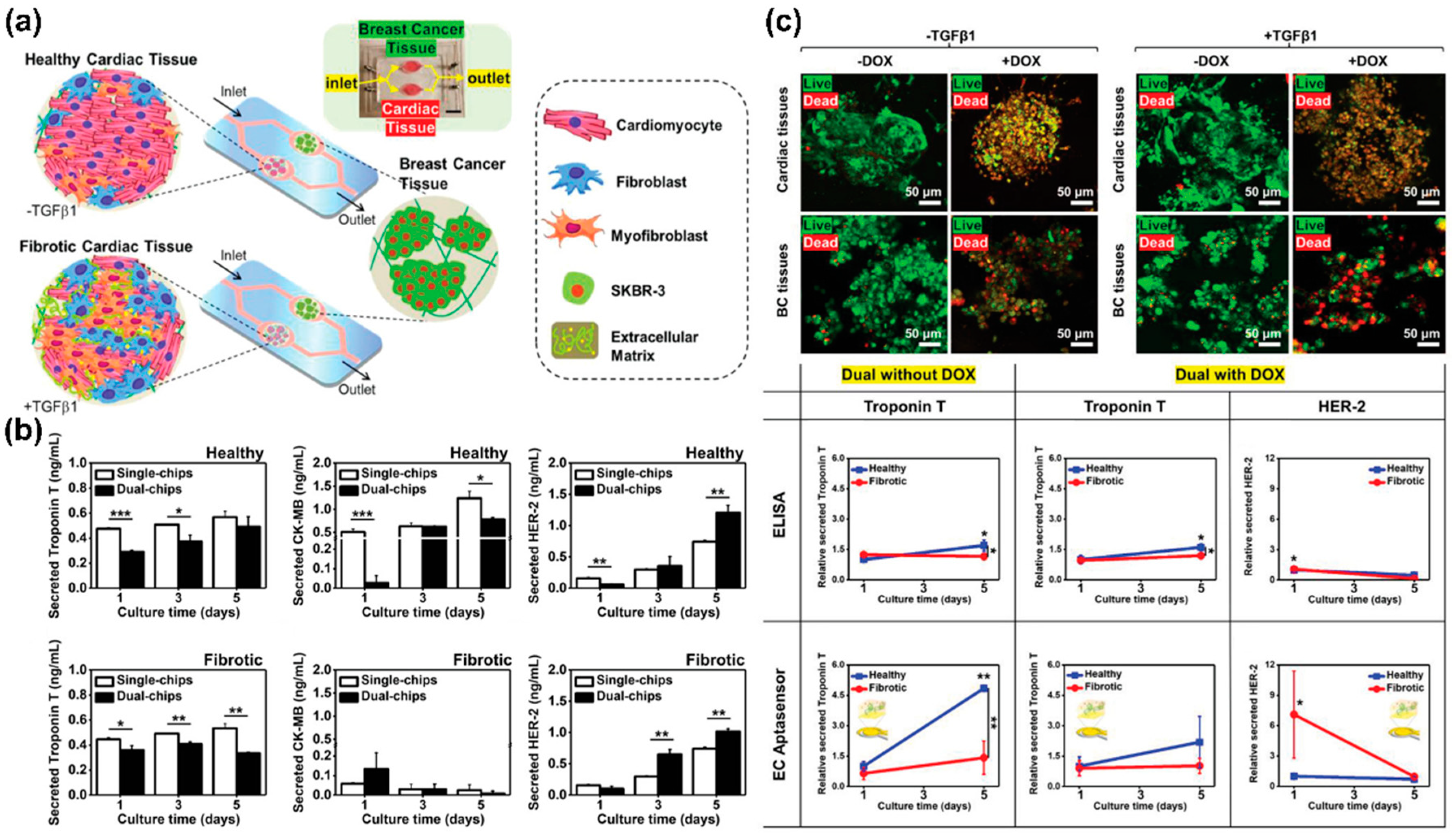 Biosensors 13 00501 g005