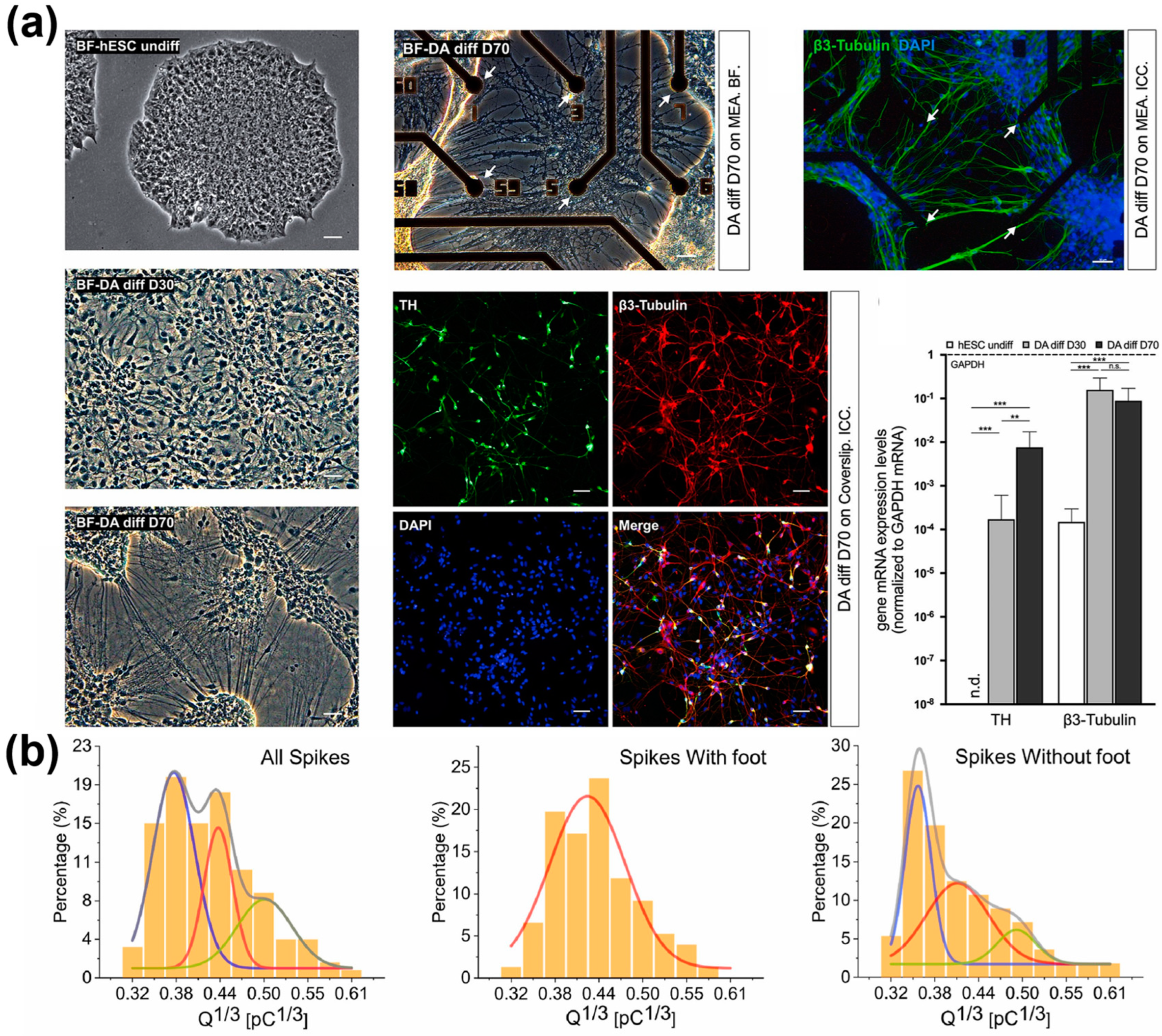 Biosensors 13 00501 g006