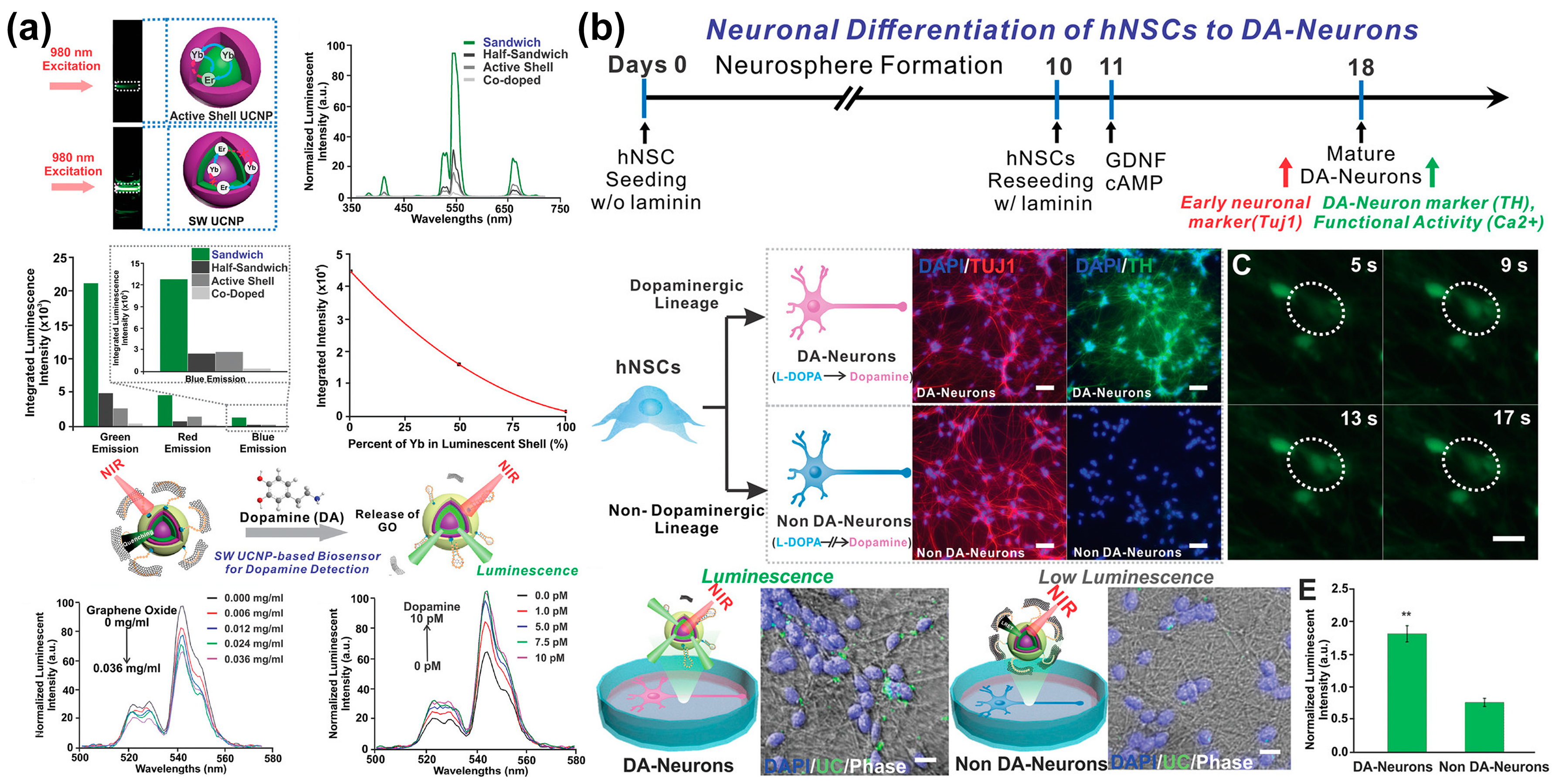 Biosensors 13 00501 g008