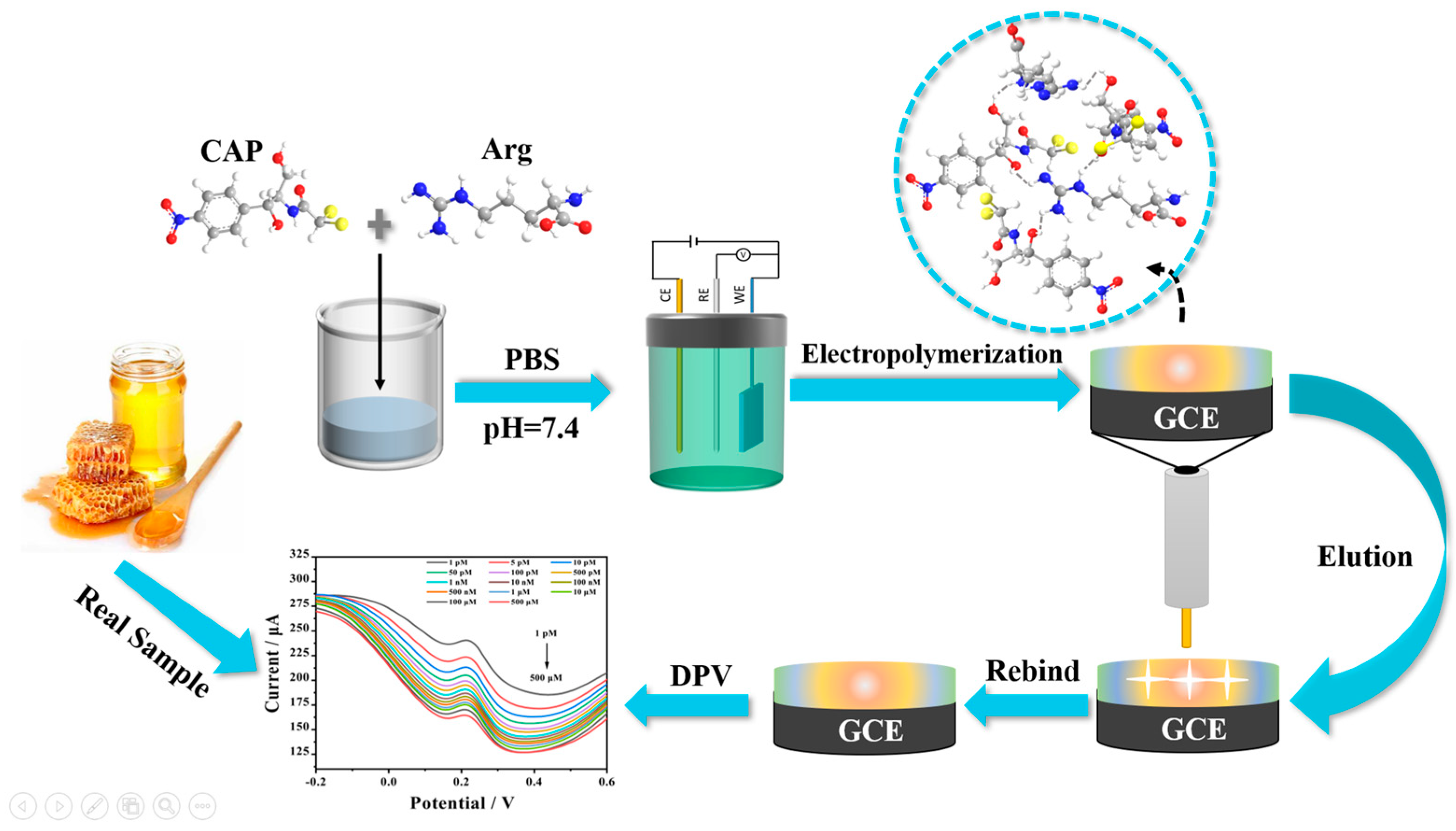 Biosensors 13 00505 g001