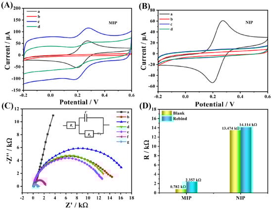 Biosensors 13 00505 g006