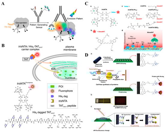 Biosensors 13 00507 g005
