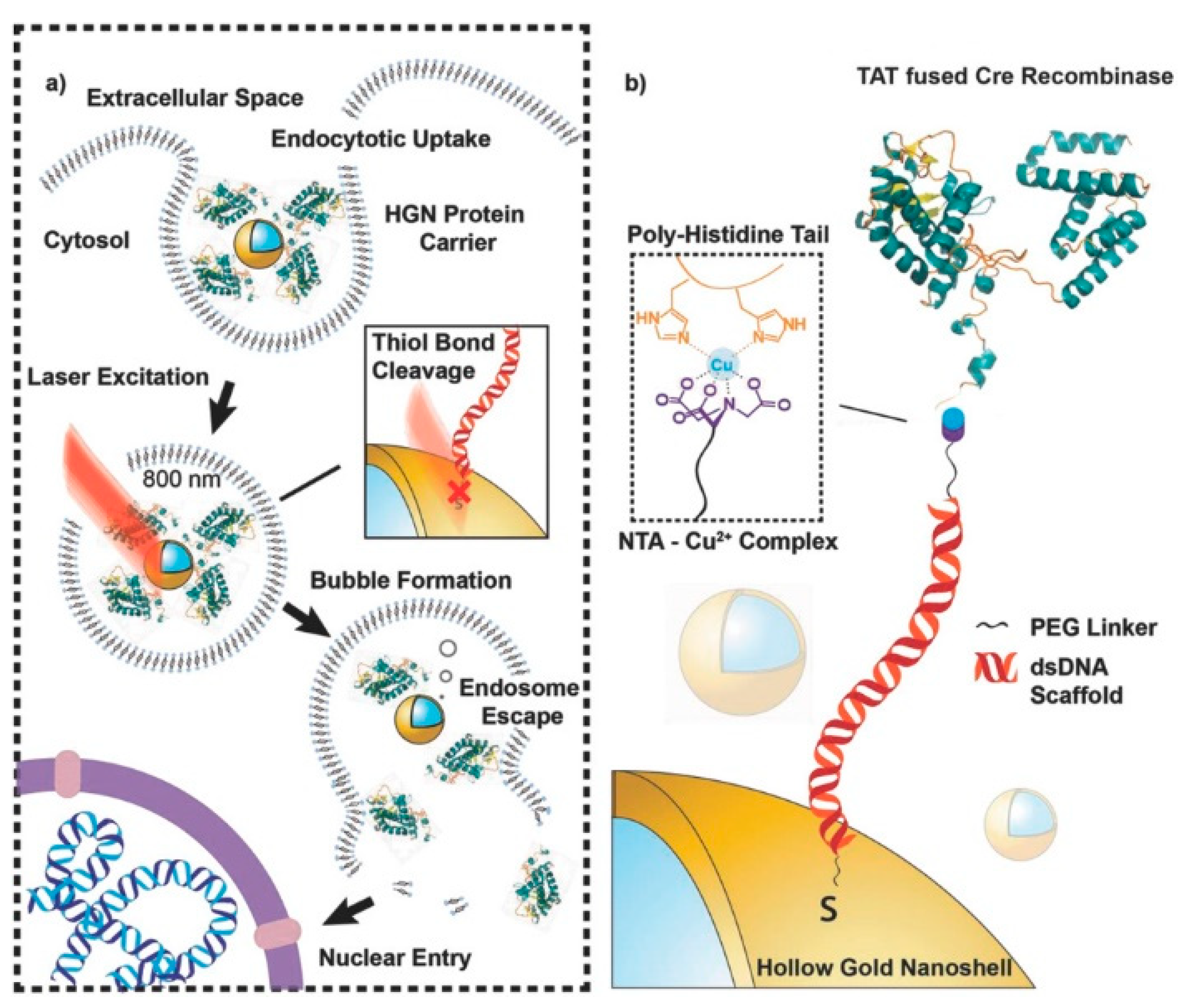 Biosensors 13 00507 g006