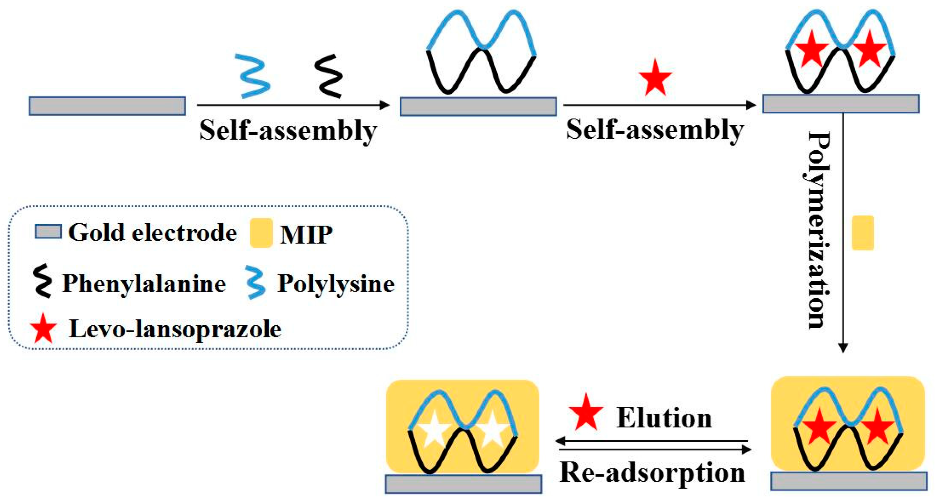 Biosensors 13 00509 g001