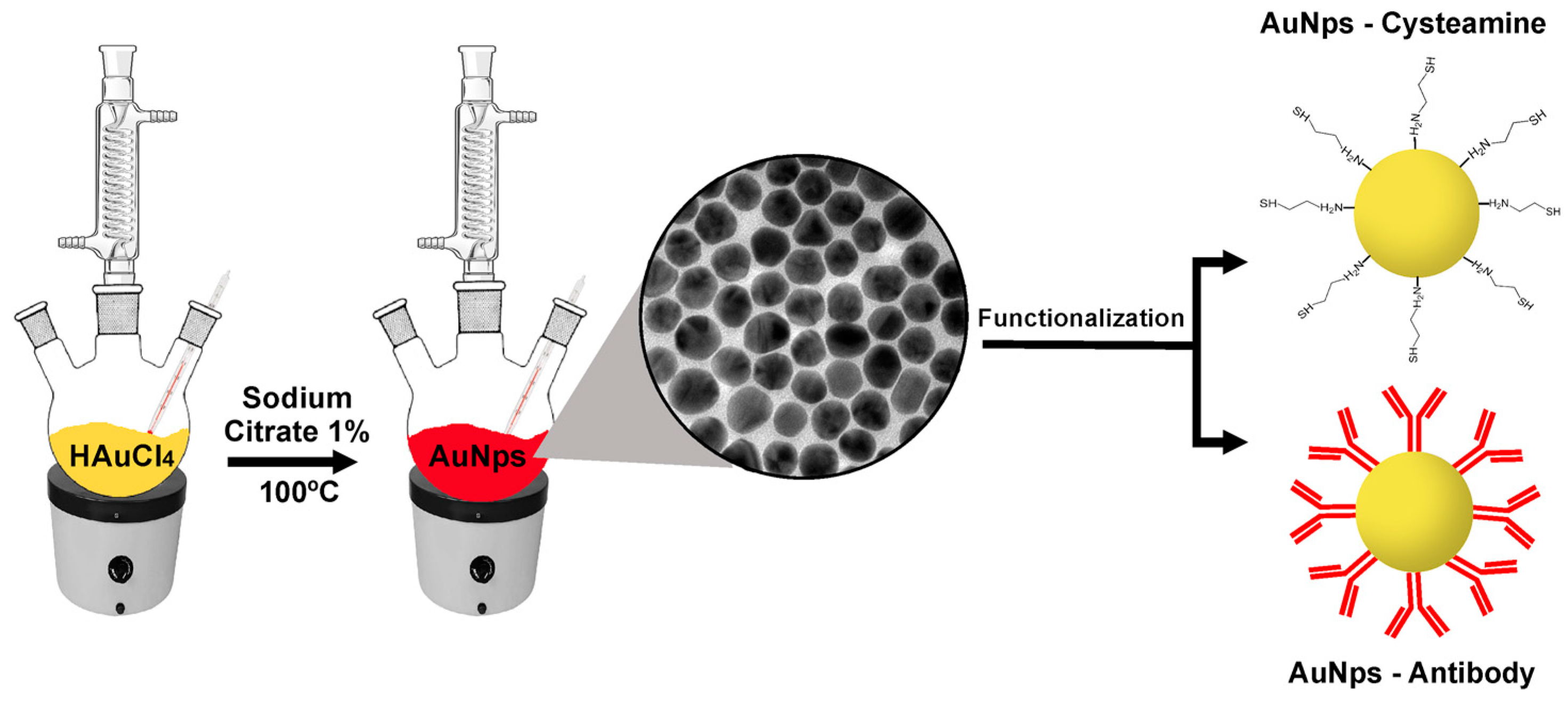Biosensors 13 00512 g001