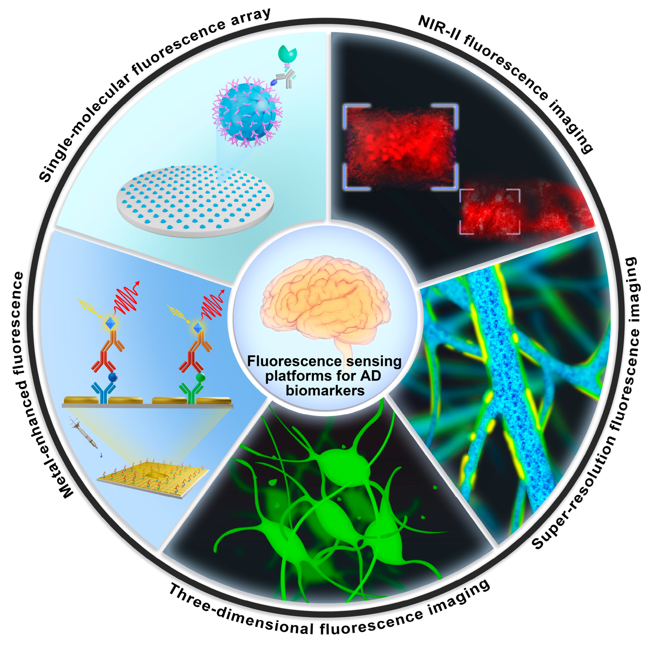Biosensors 13 00515 g001 Biosensors 13 00515 g001