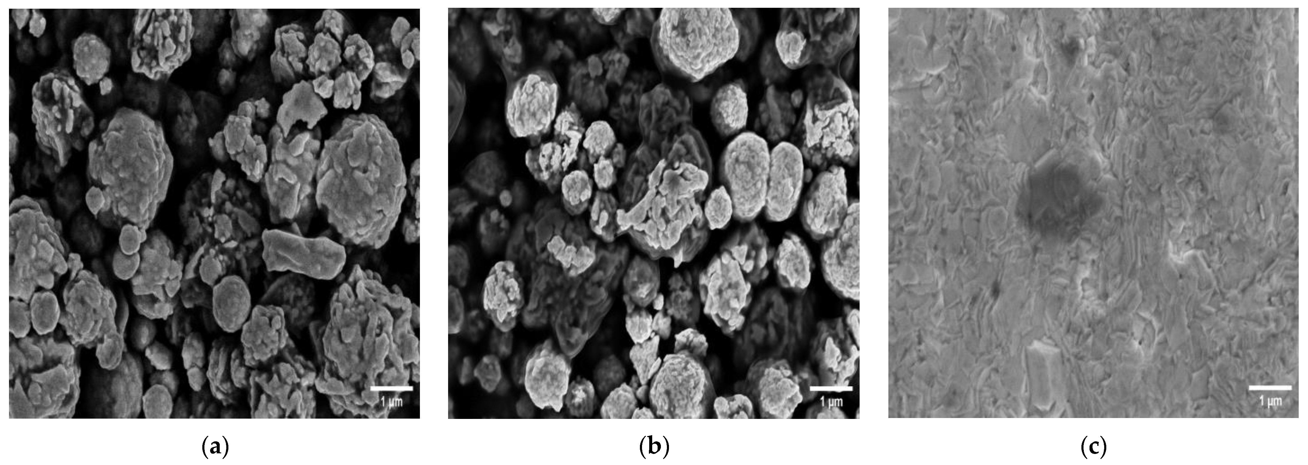 Biosensors 13 00519 g001a