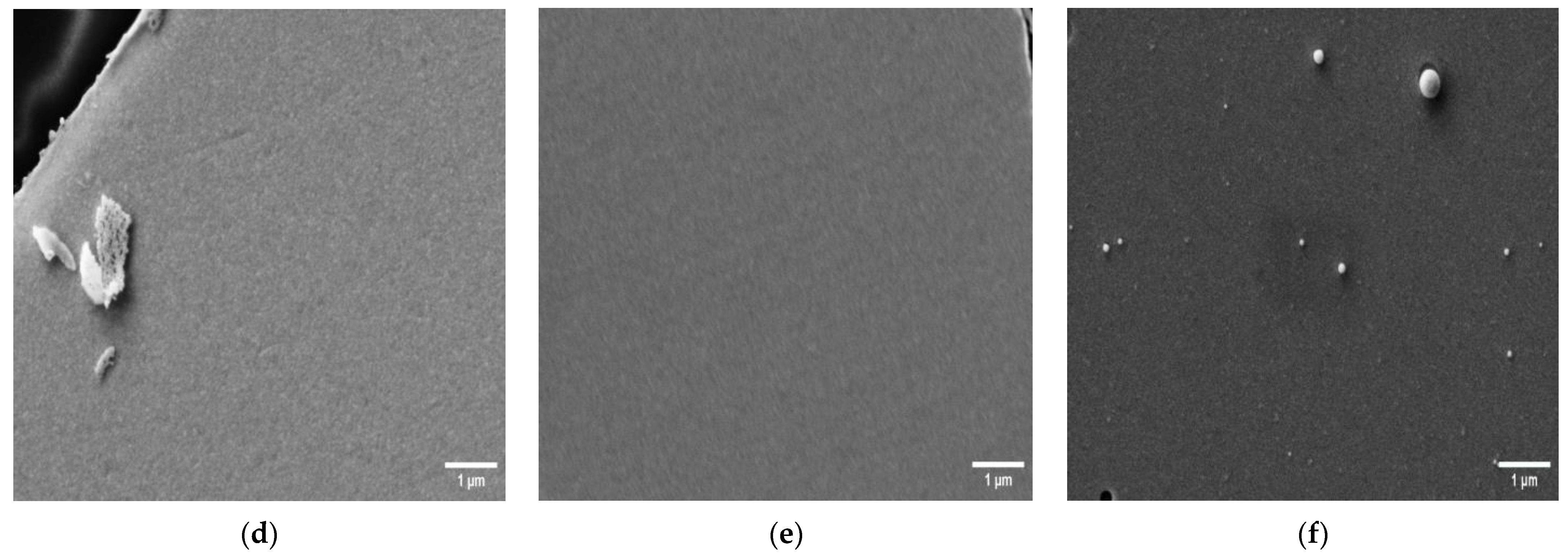 Biosensors 13 00519 g001b