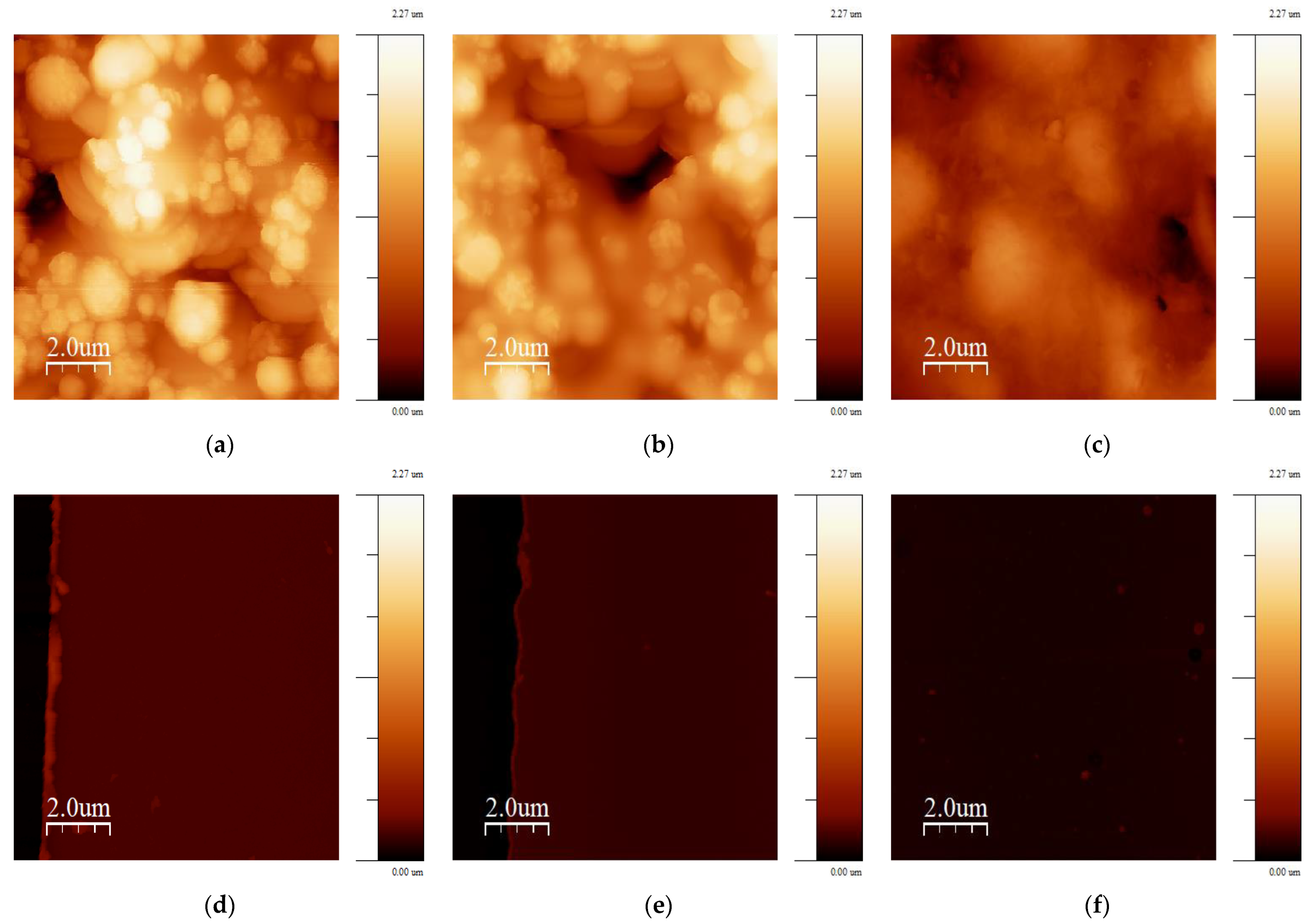 Biosensors 13 00519 g002