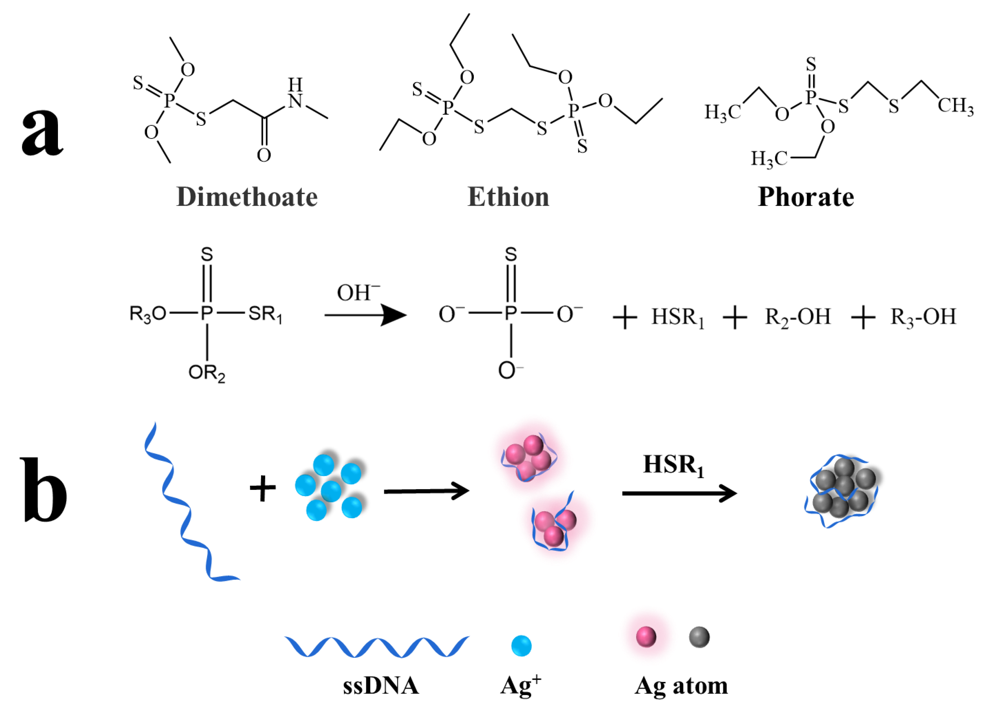Biosensors 13 00520 g001