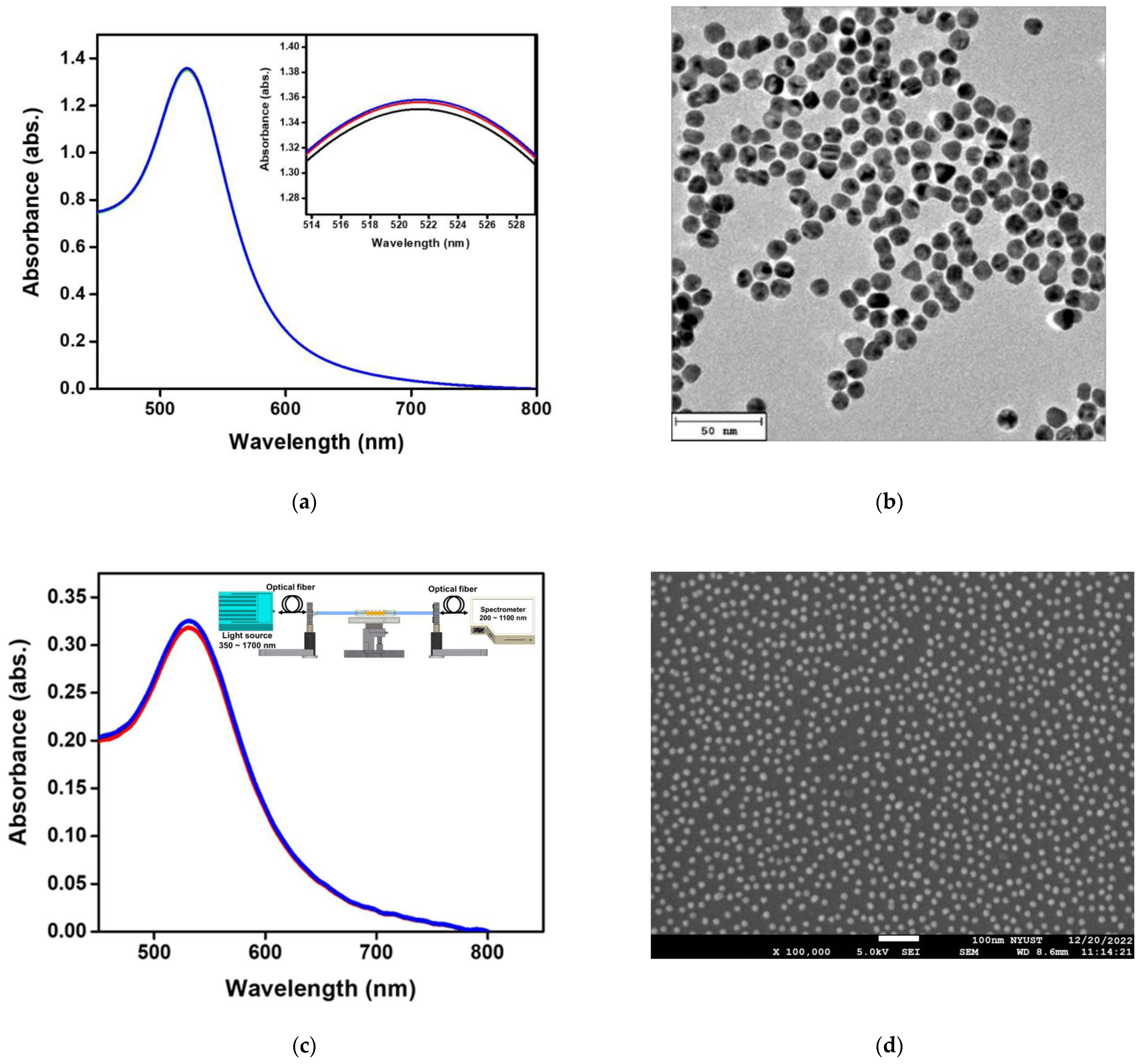 Biosensors 13 00522 g004