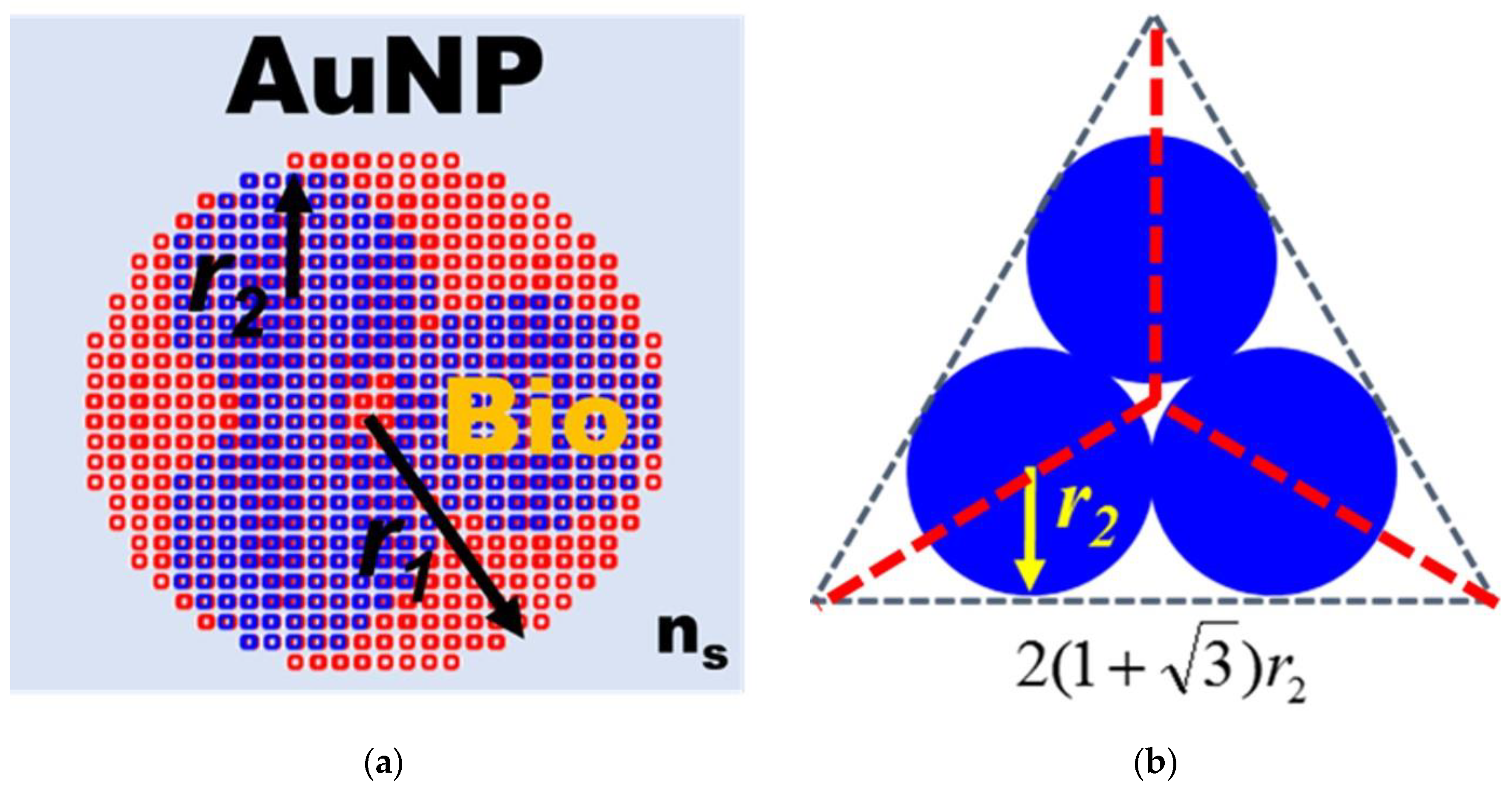 Biosensors 13 00522 g006