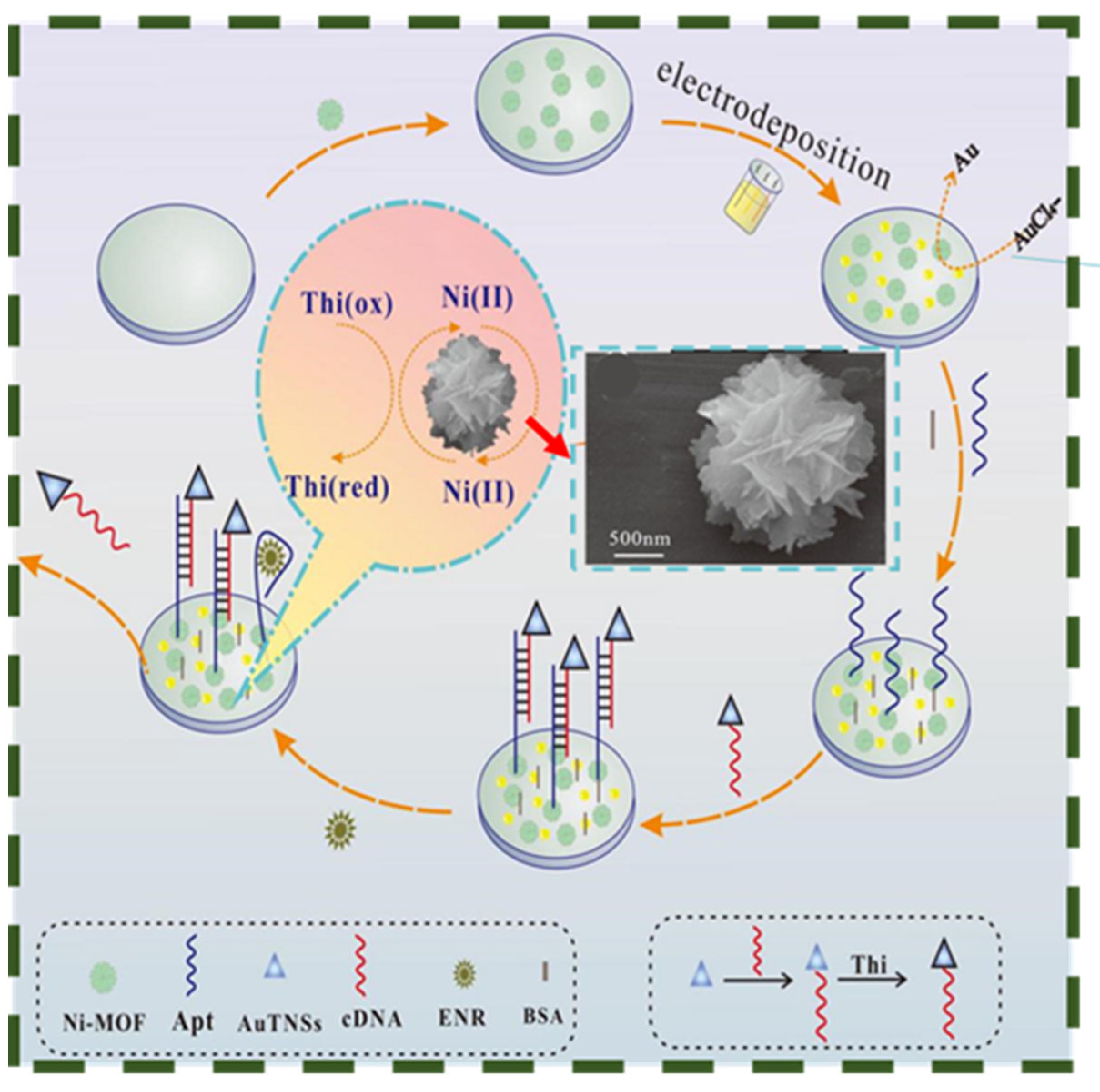 Biosensors 13 00529 g004