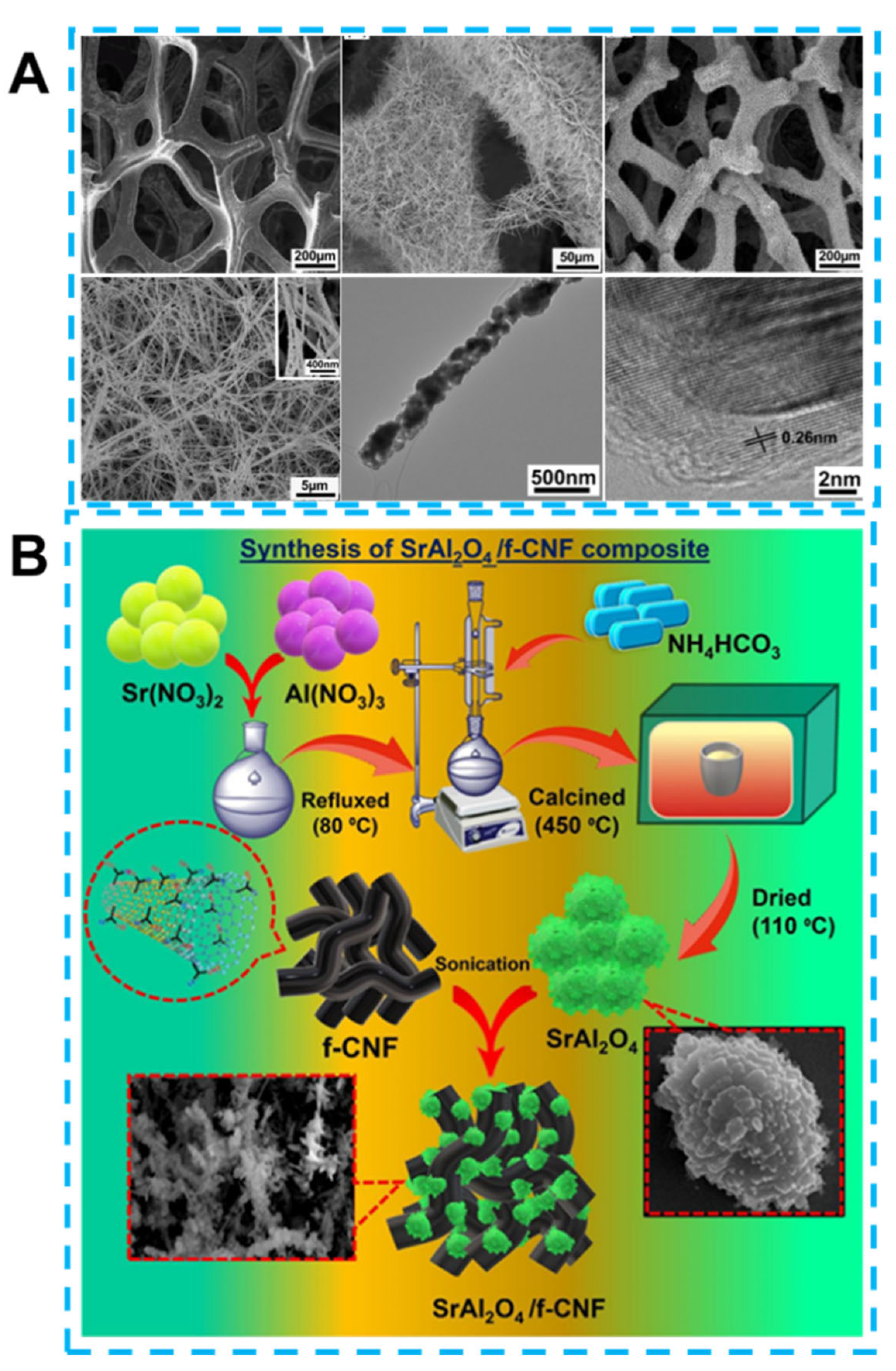 Biosensors 13 00529 g005