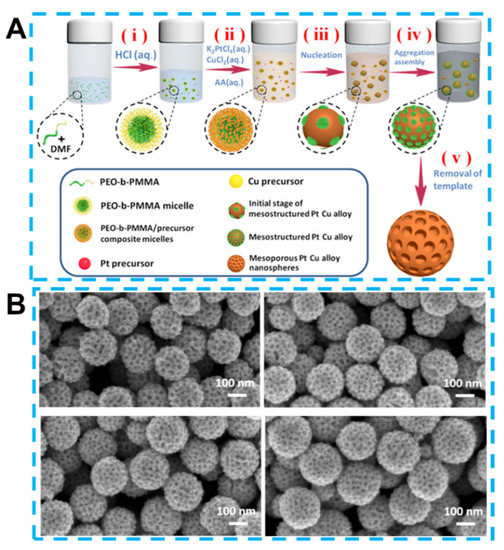 Biosensors 13 00529 g006