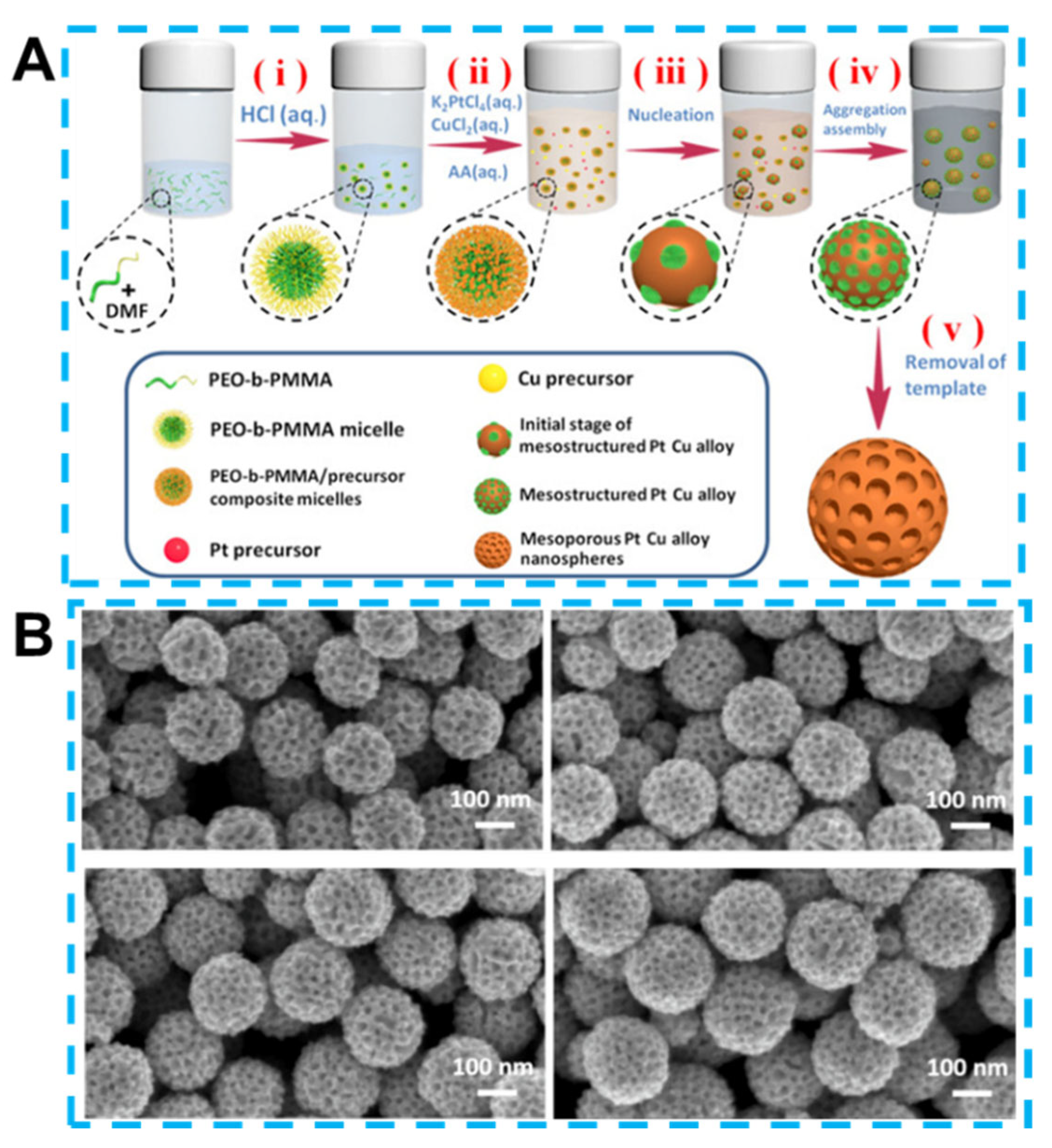 Biosensors 13 00529 g006