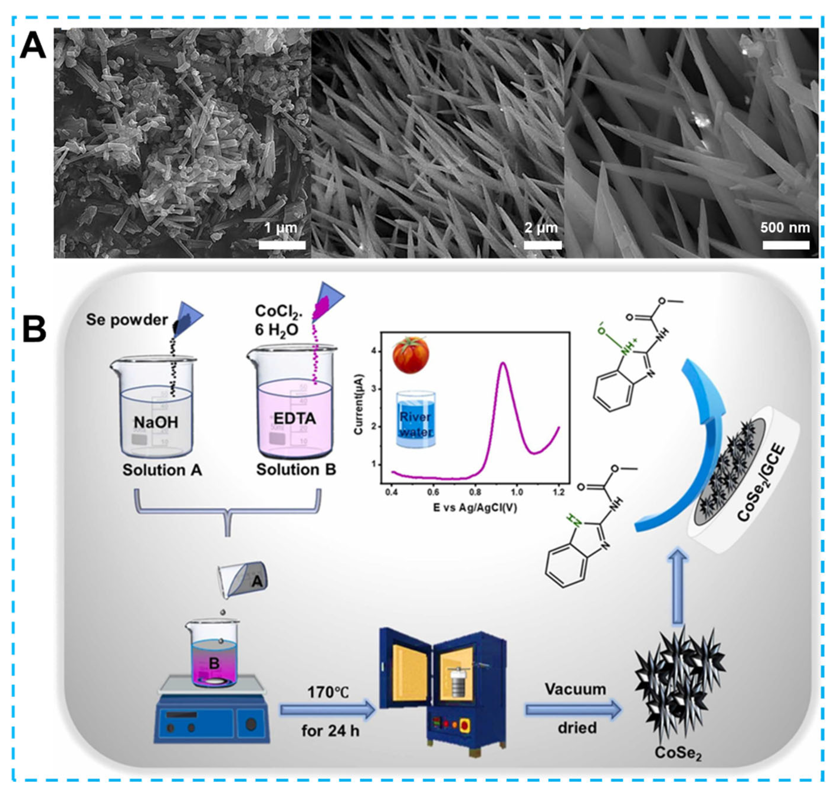 Biosensors 13 00529 g009