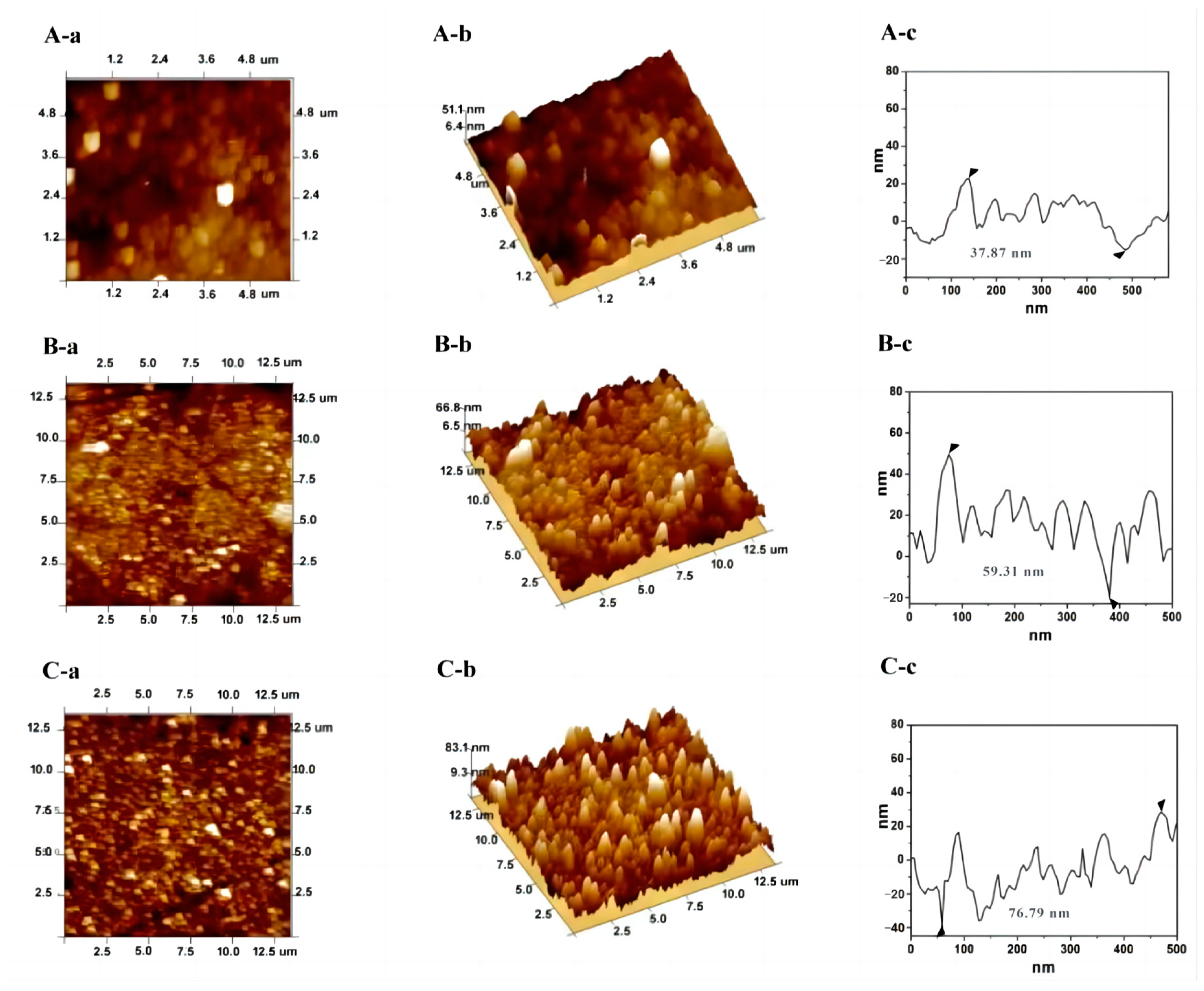 Biosensors 13 00532 g001