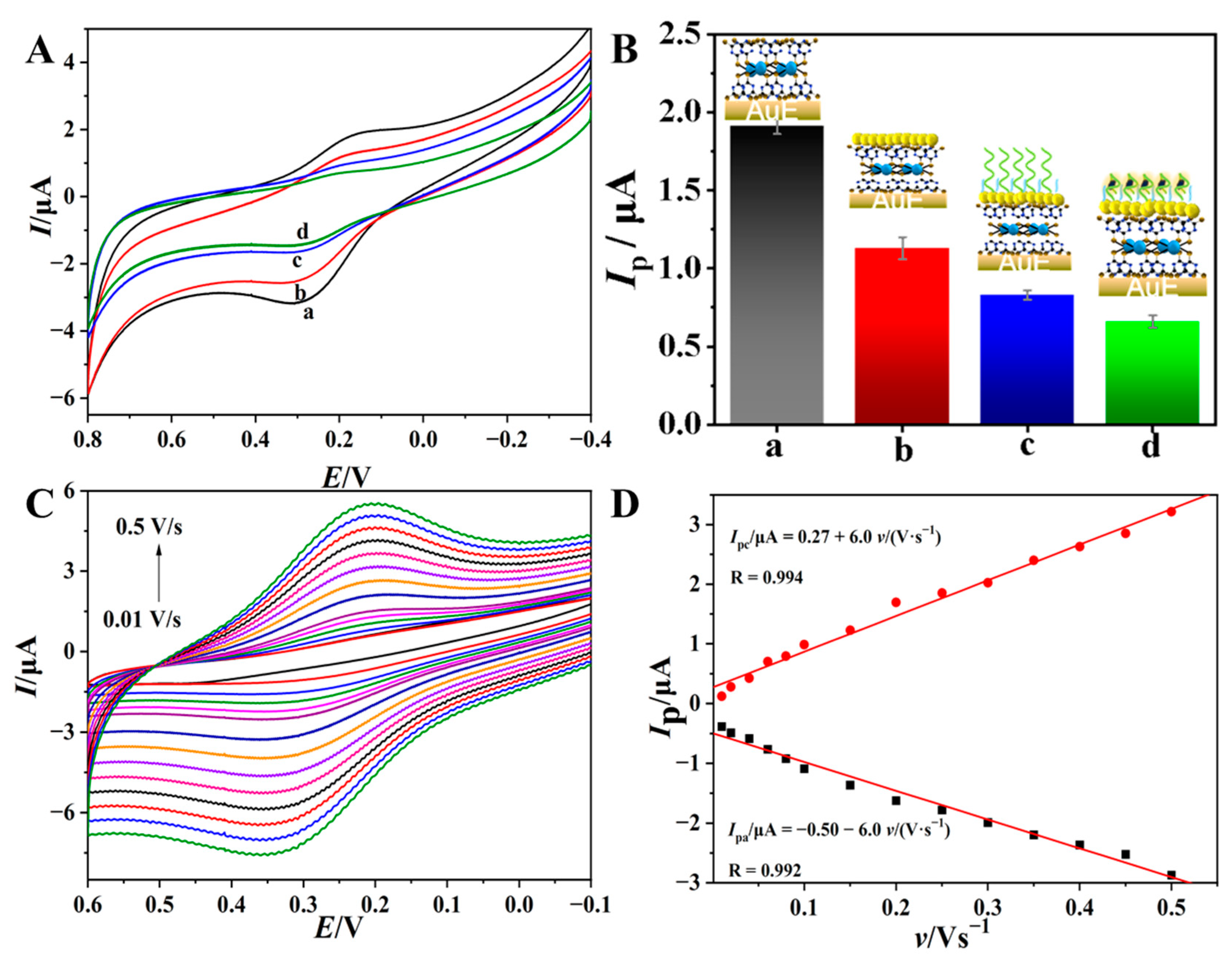 Biosensors 13 00532 g003