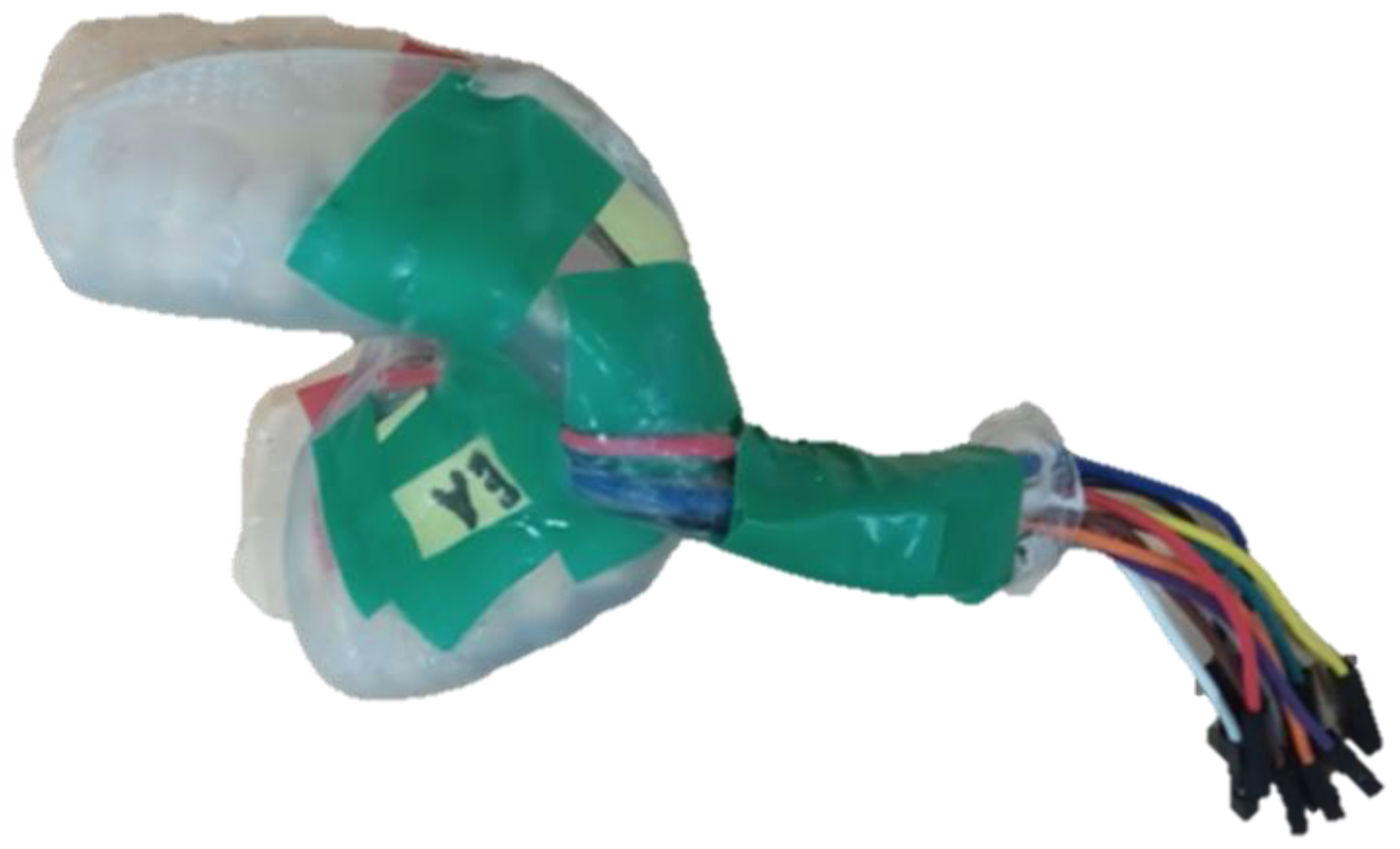 Biosensors 13 00533 g002