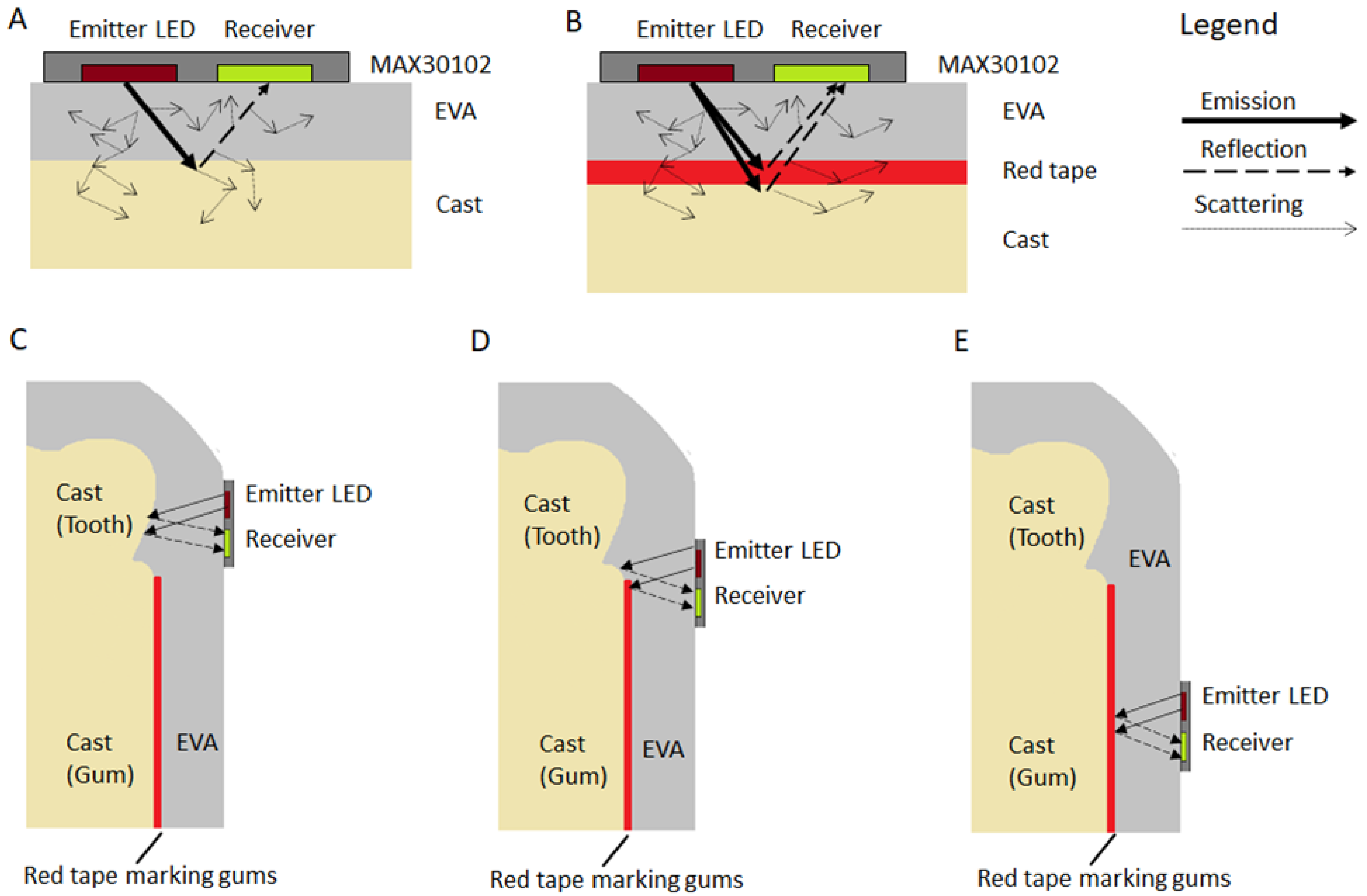 Biosensors 13 00533 g004