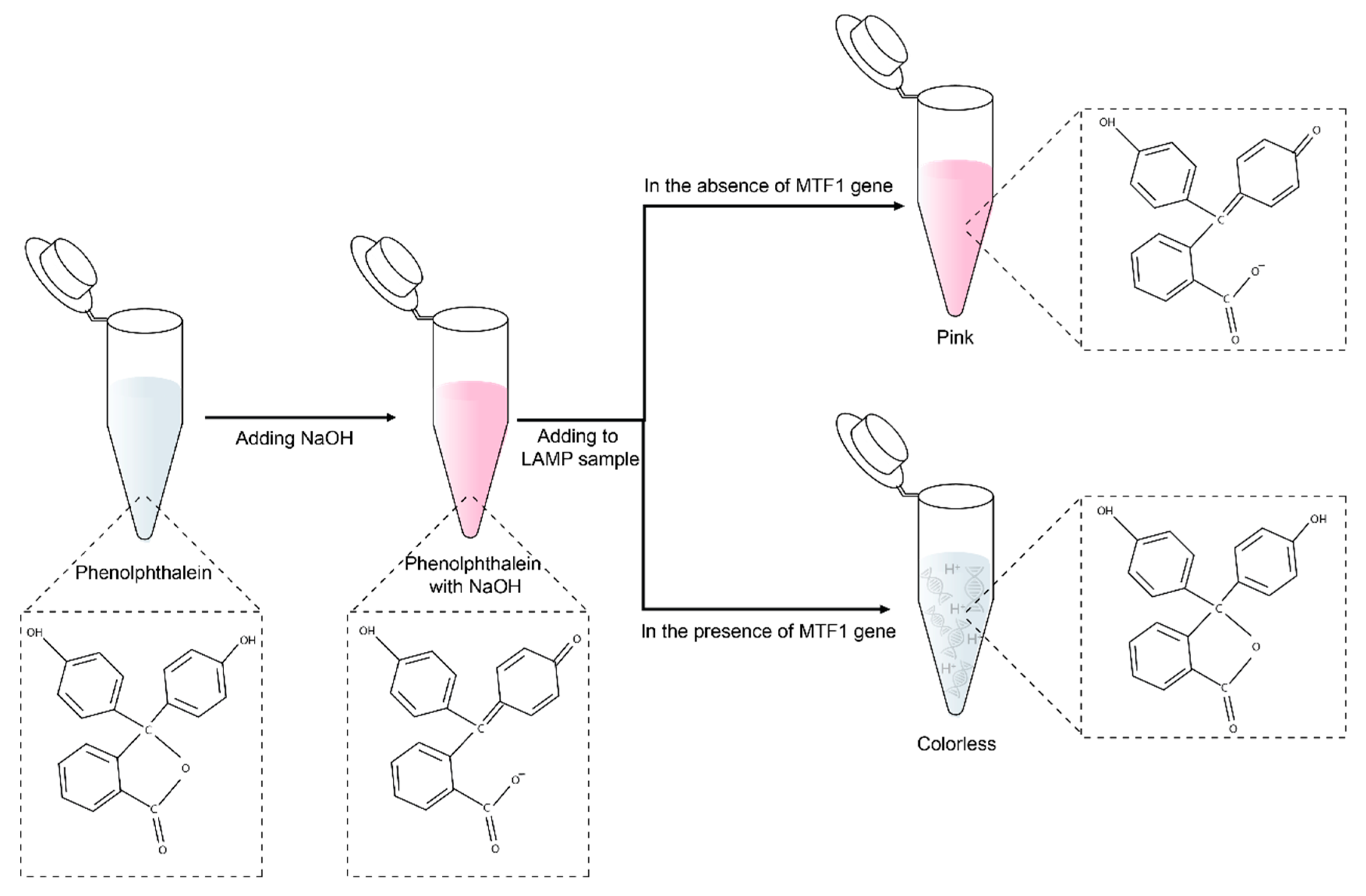 Biosensors 13 00535 g001