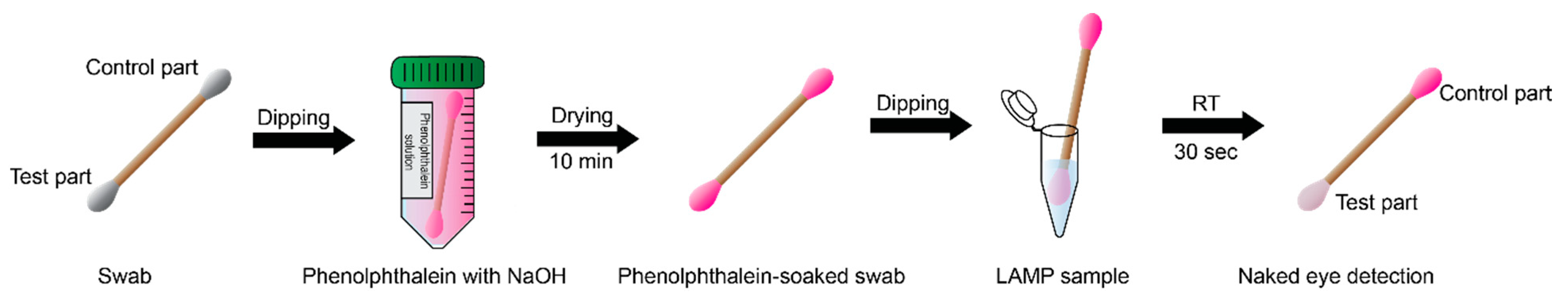 Biosensors 13 00535 g002
