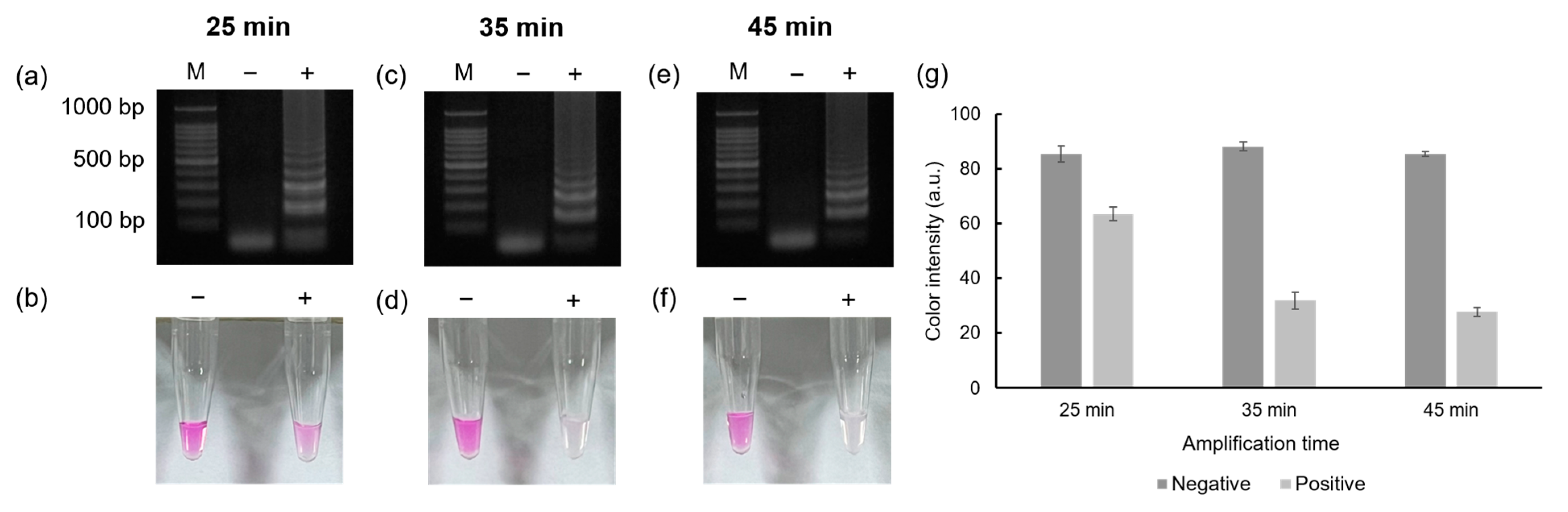 Biosensors 13 00535 g003