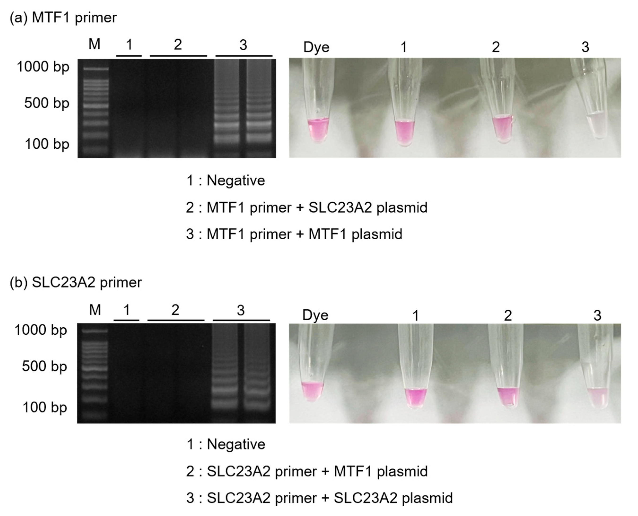 Biosensors 13 00535 g004