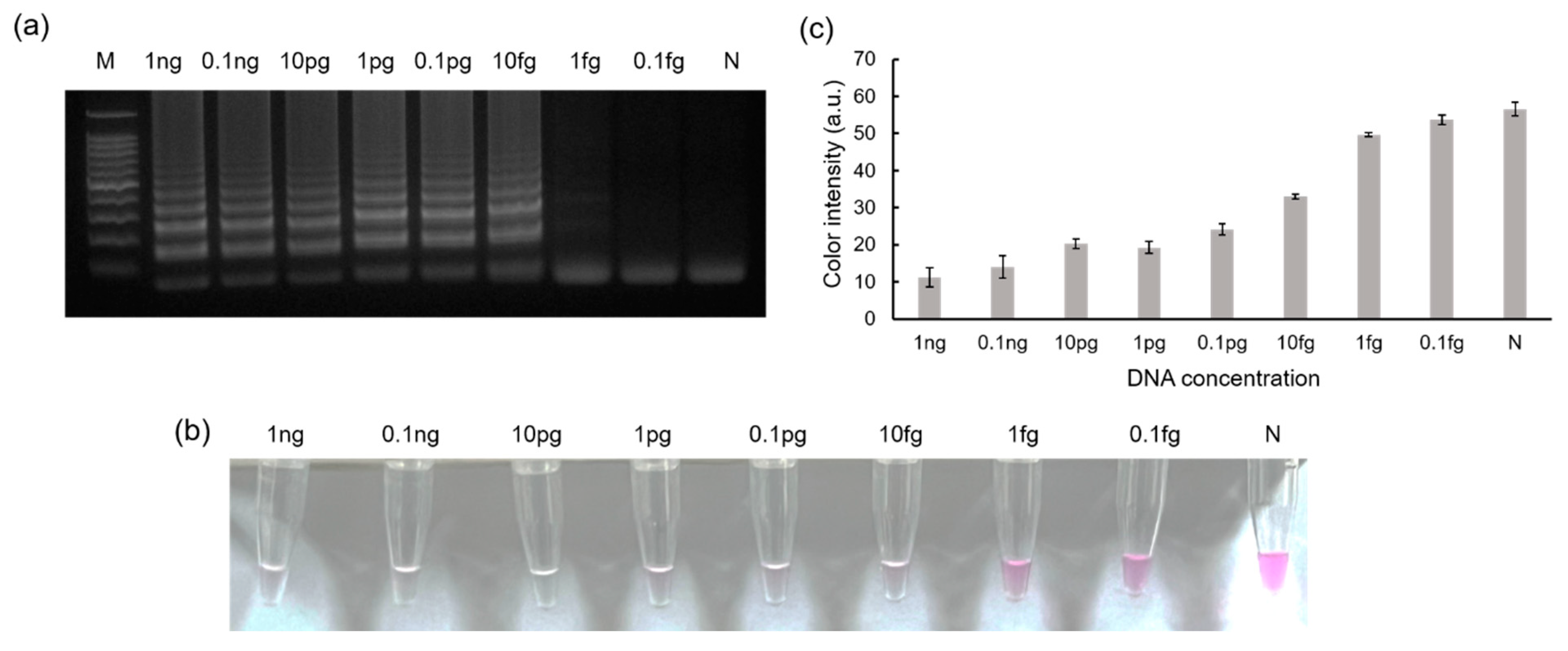 Biosensors 13 00535 g005