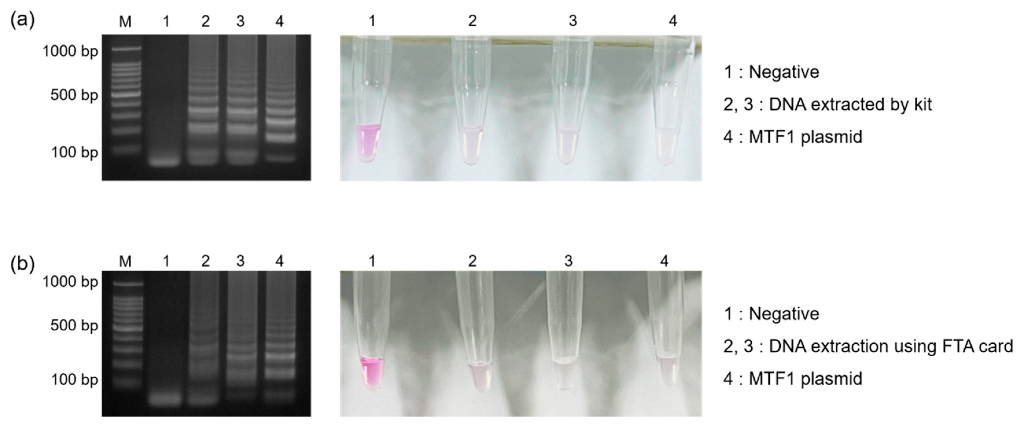 Biosensors 13 00535 g006